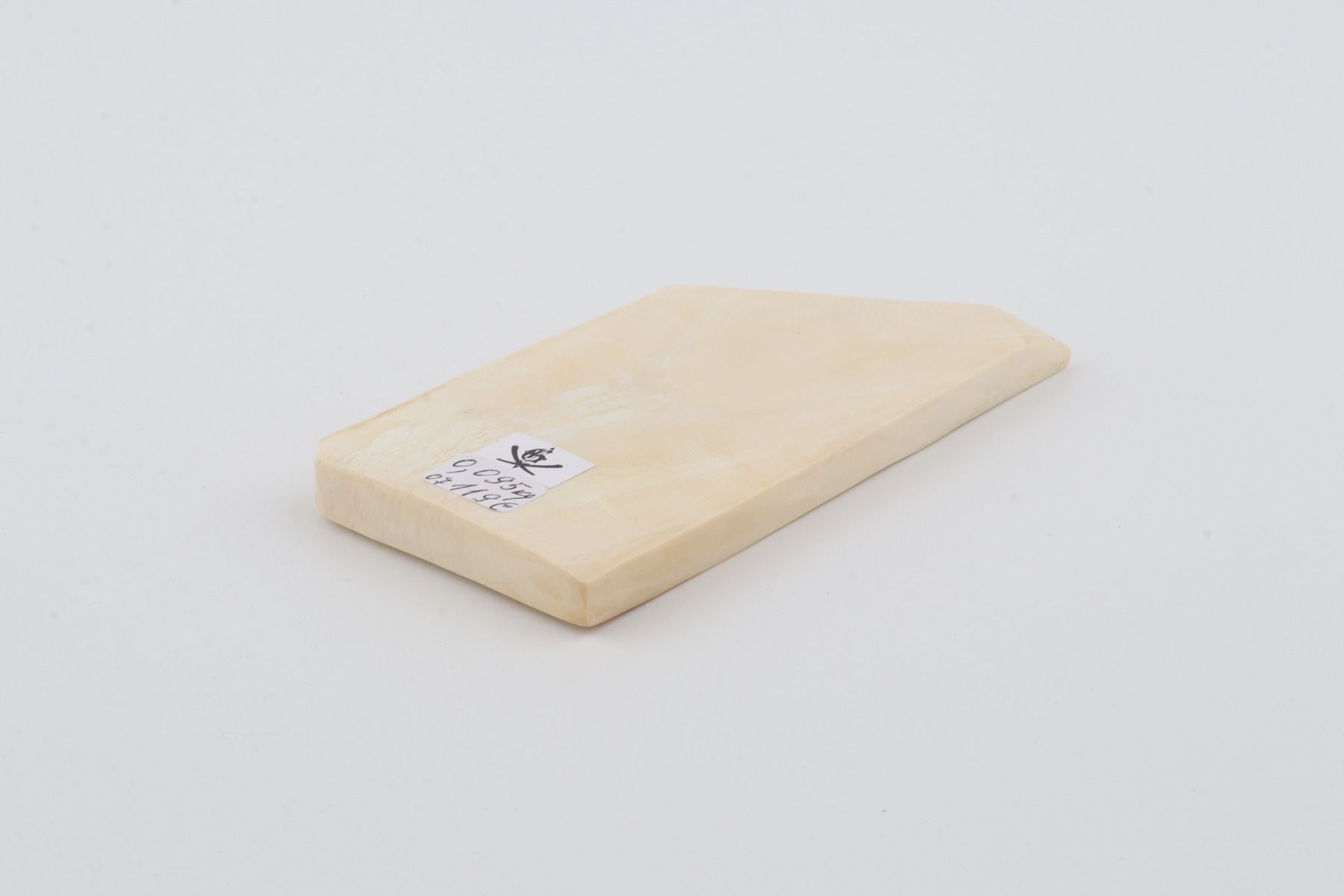 White mammoth ivory segment
