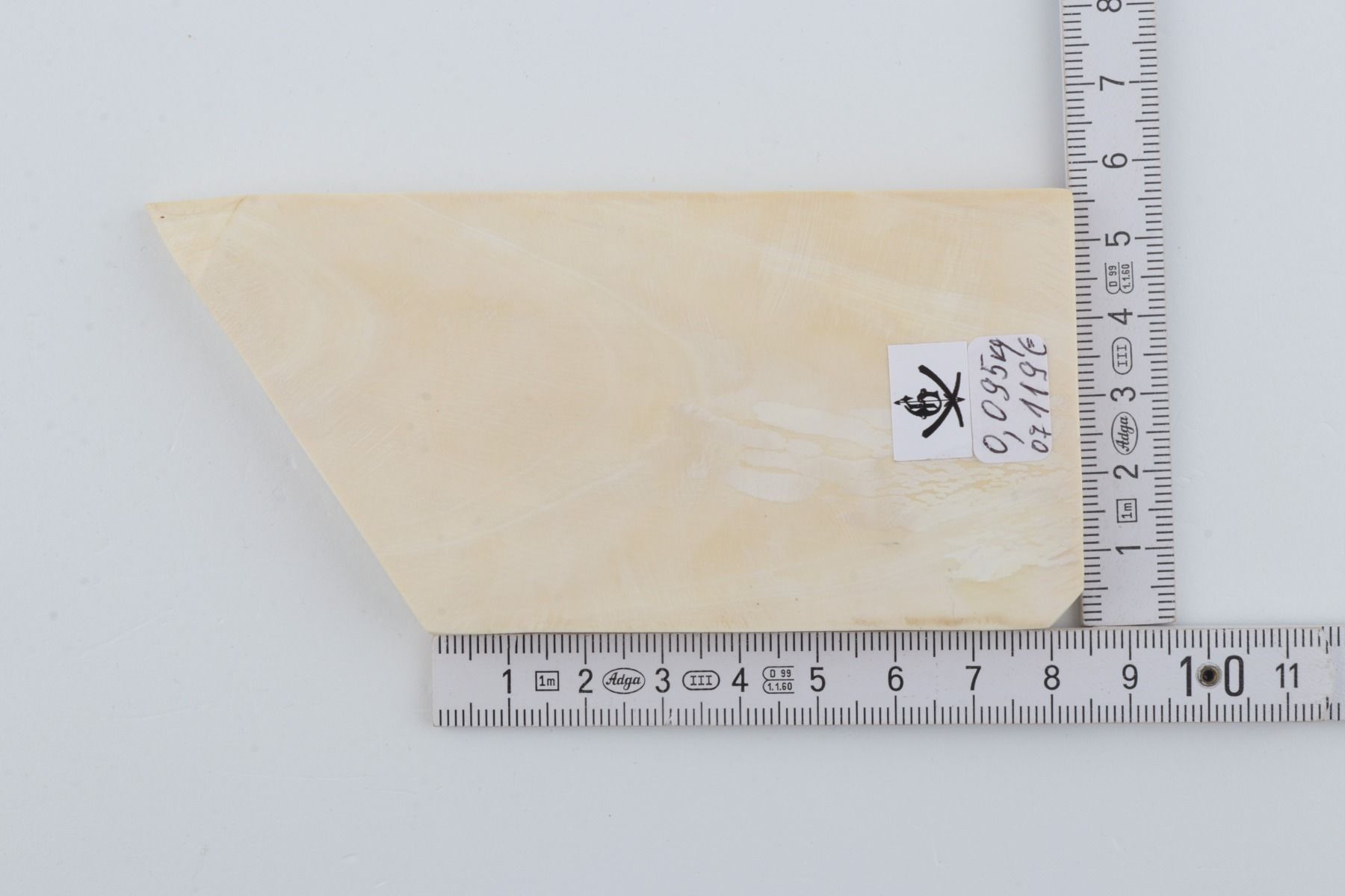 White mammoth ivory segment