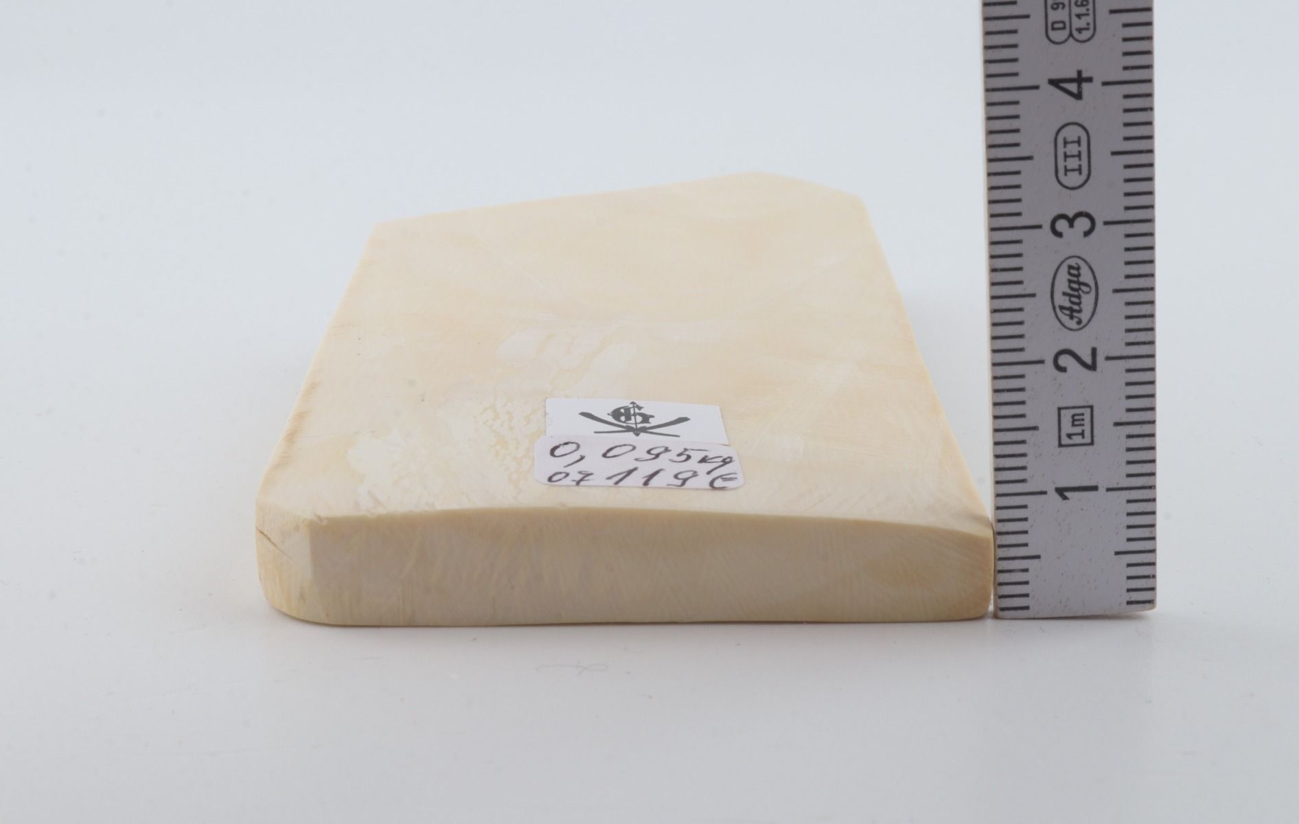 White mammoth ivory segment