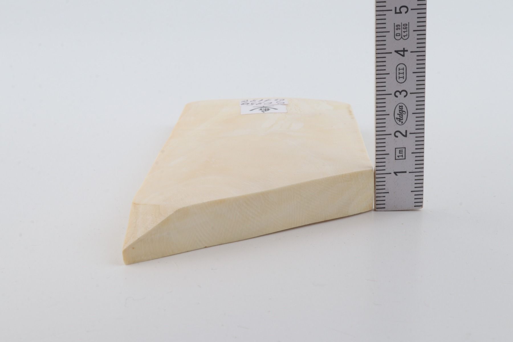 White mammoth ivory segment