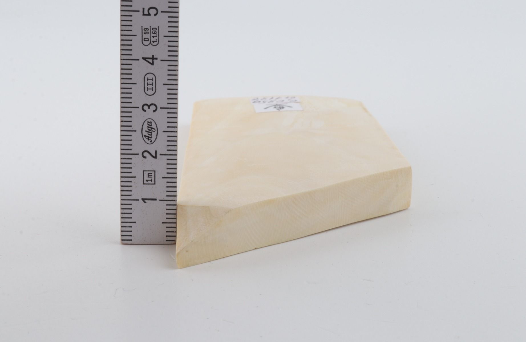 White mammoth ivory segment