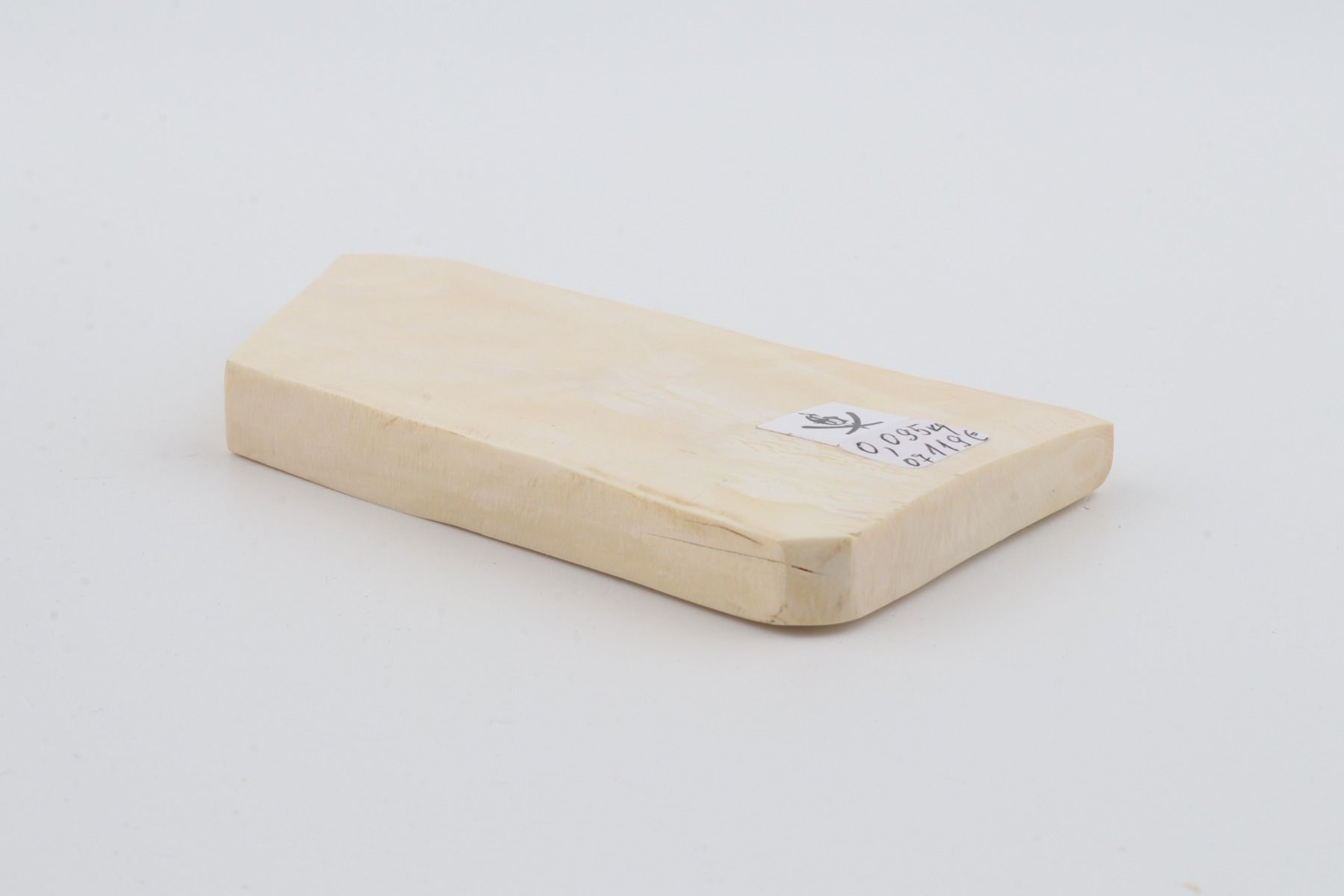 White mammoth ivory segment