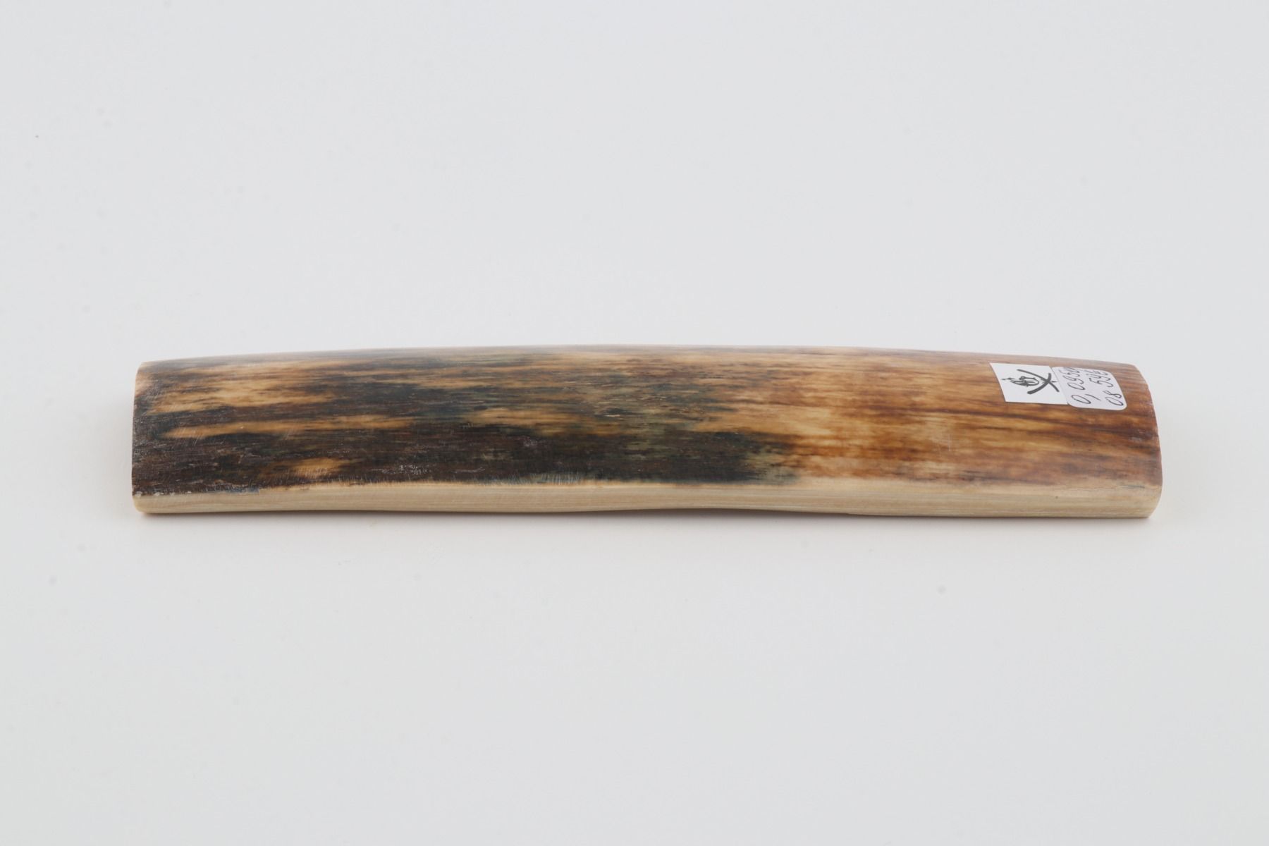 Natural woolly mammoth bark