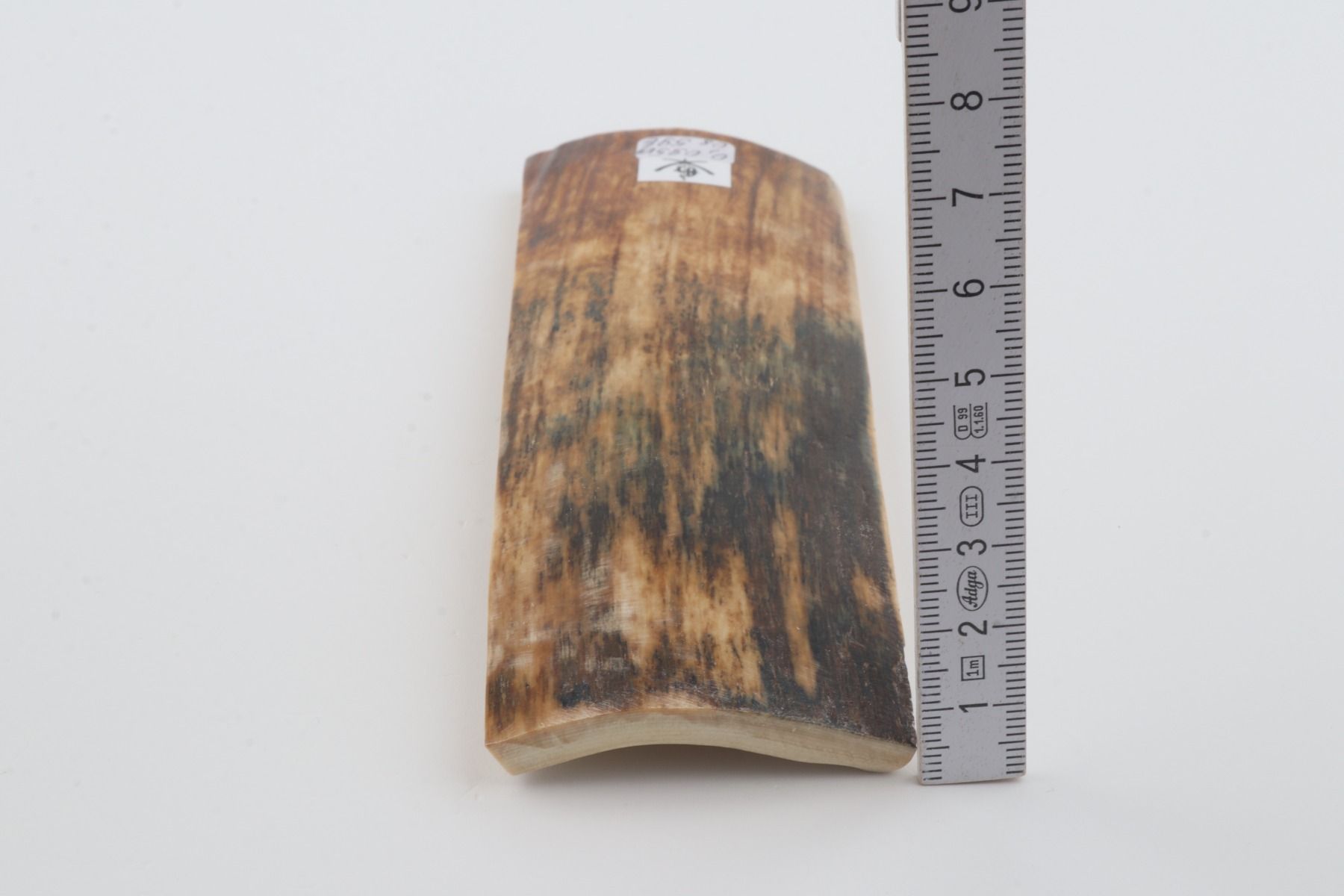 Natural woolly mammoth bark