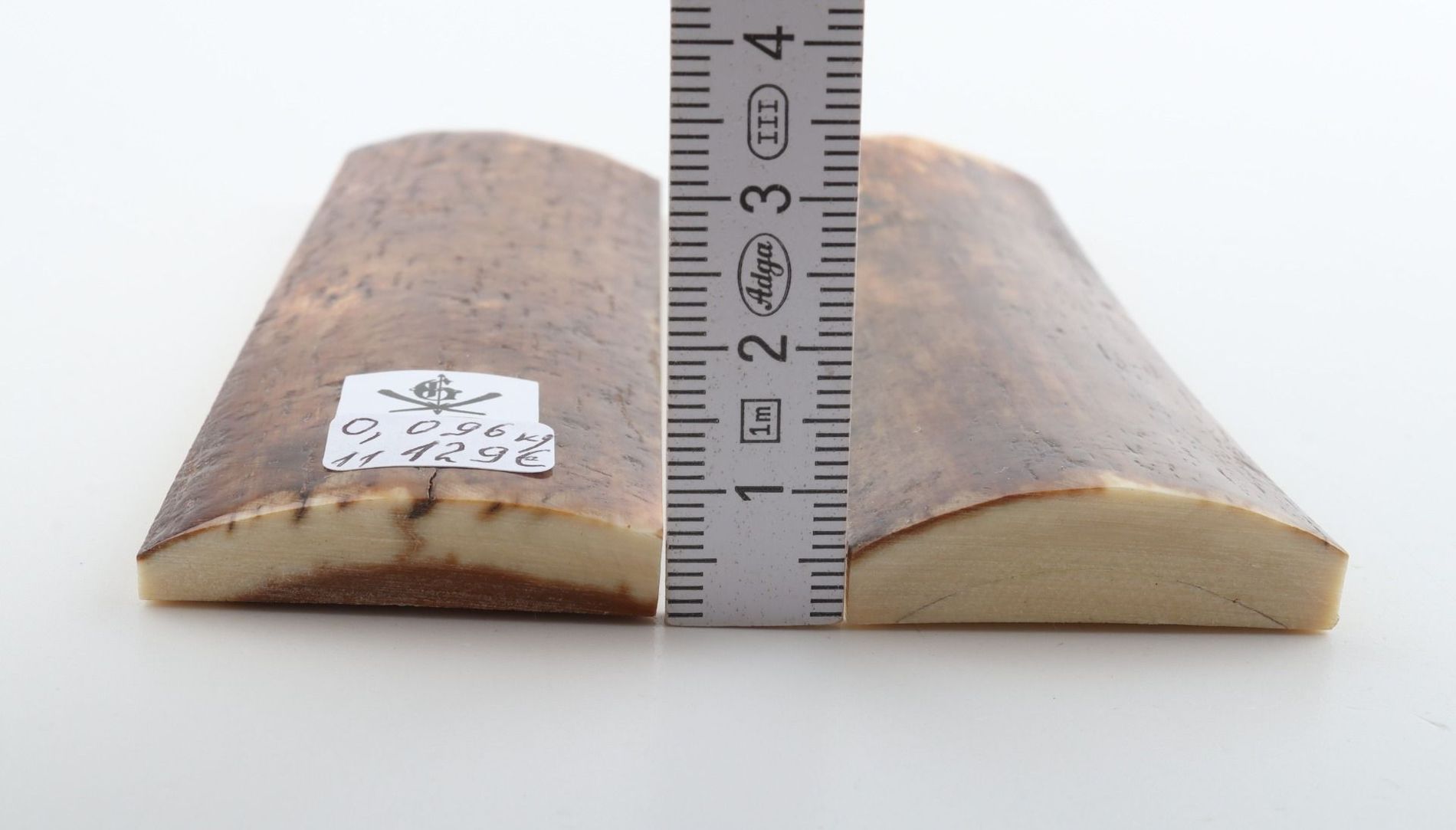 Natural mammoth bark scales