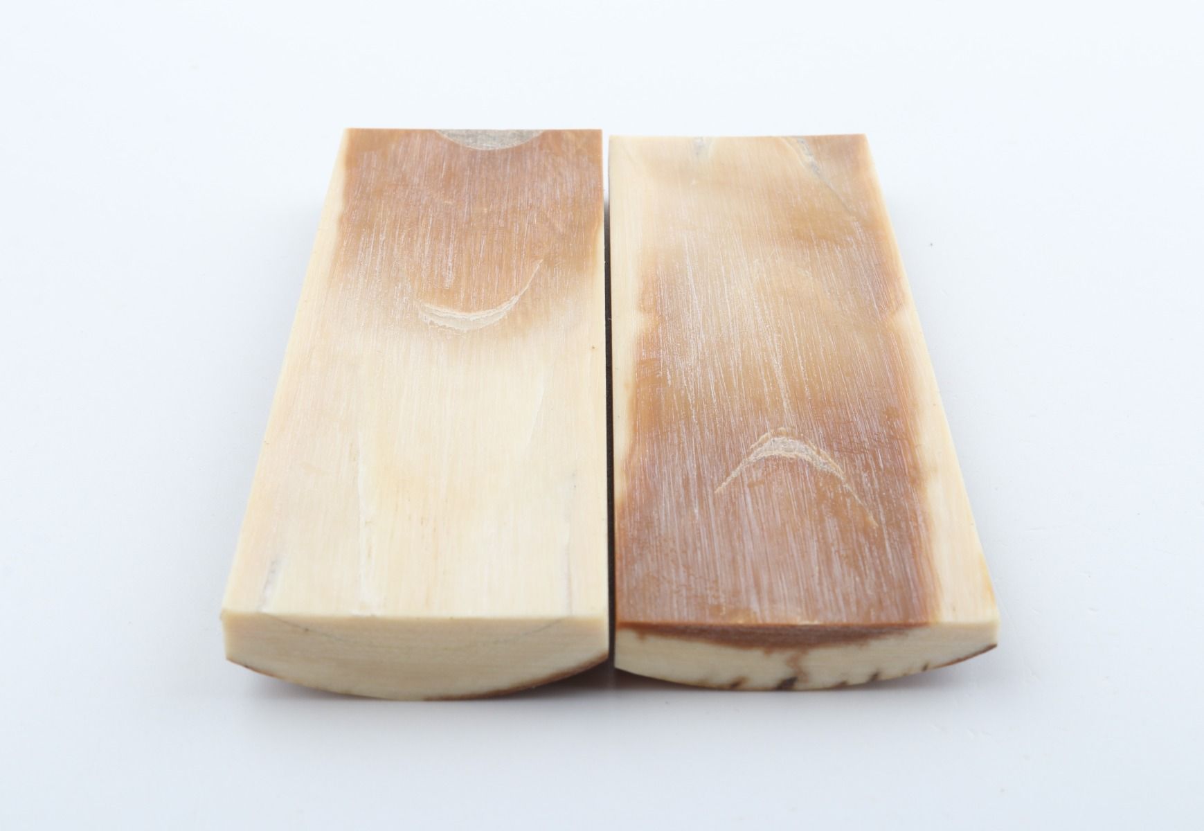Natural mammoth bark scales