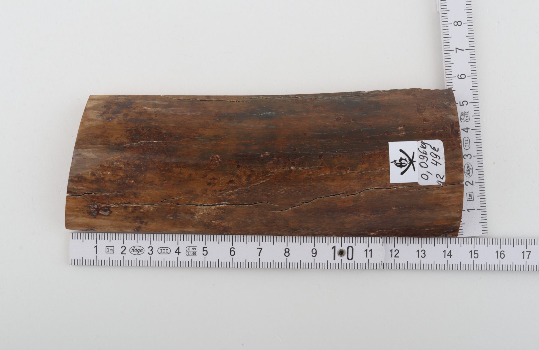 Brown mammoth bark