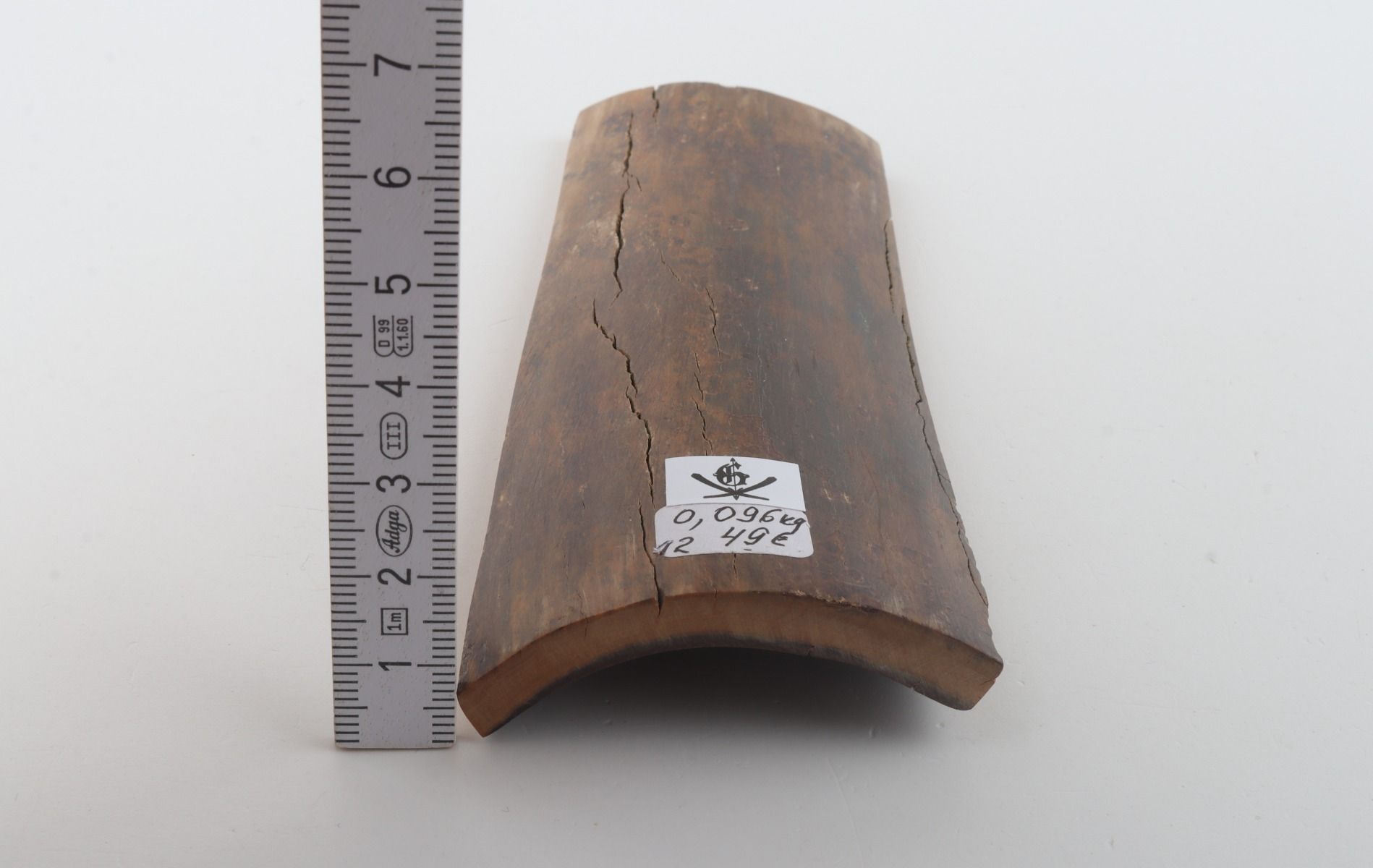 Brown mammoth bark