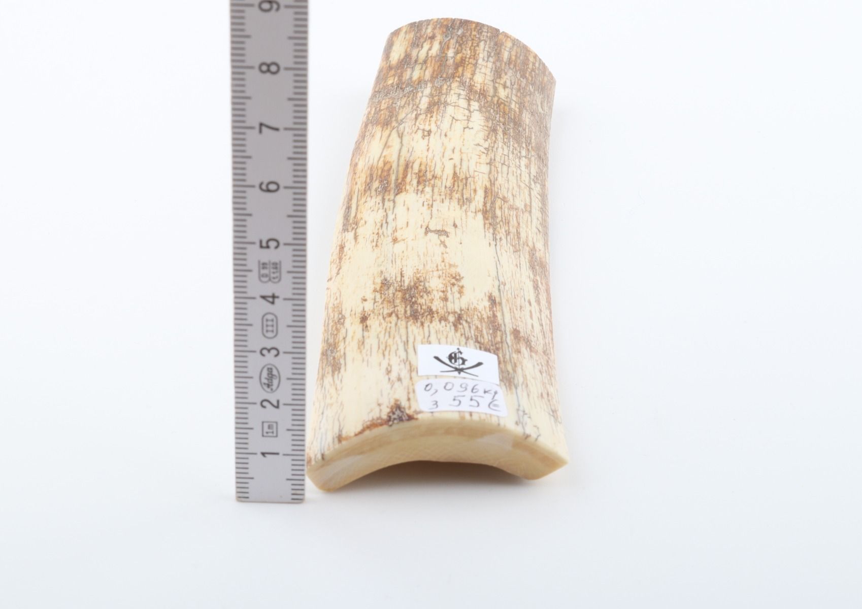 White-brown mammoth bark