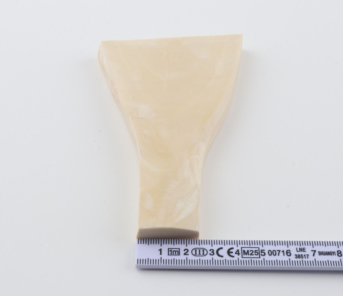 White mammoth ivory segment