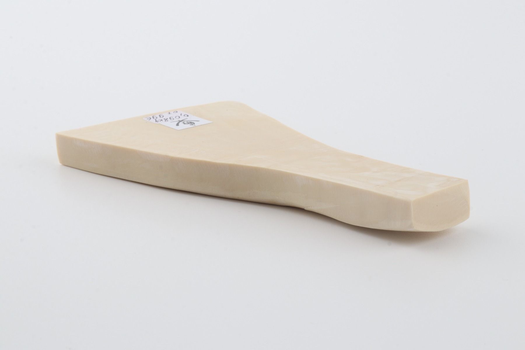 White mammoth ivory segment