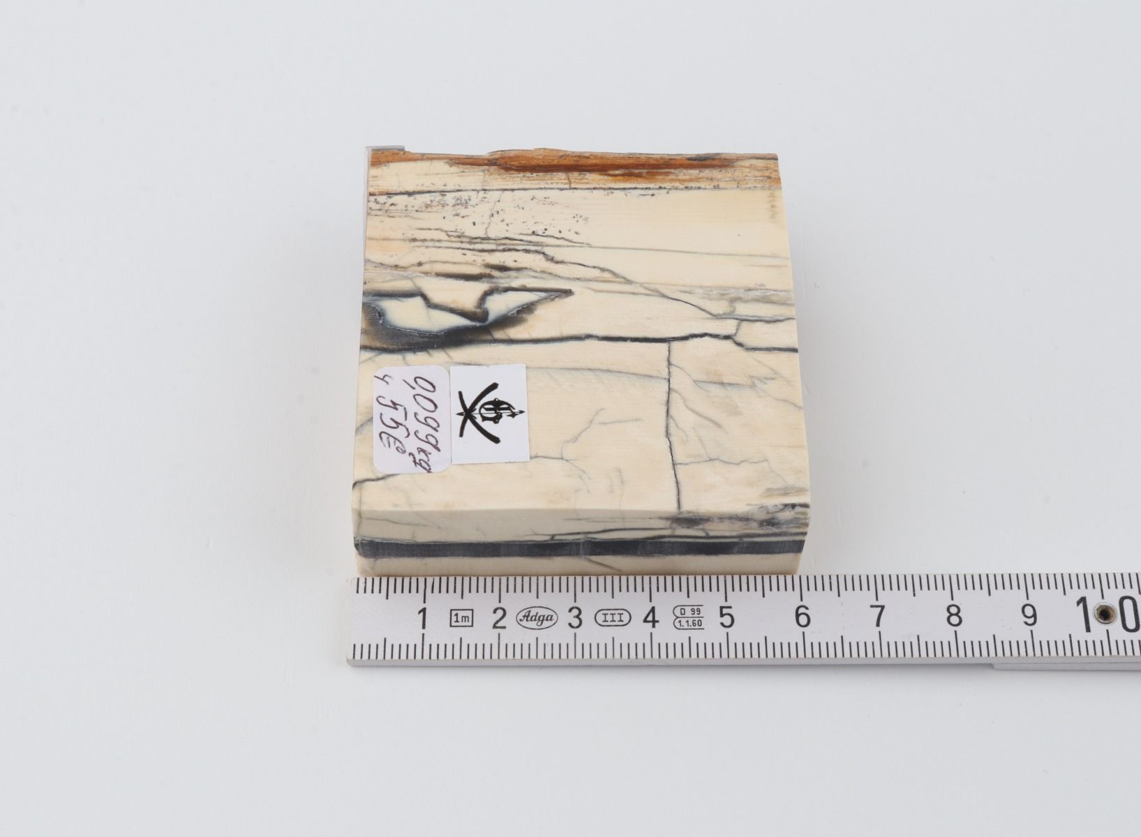 Stabilised mammoth ivory piece