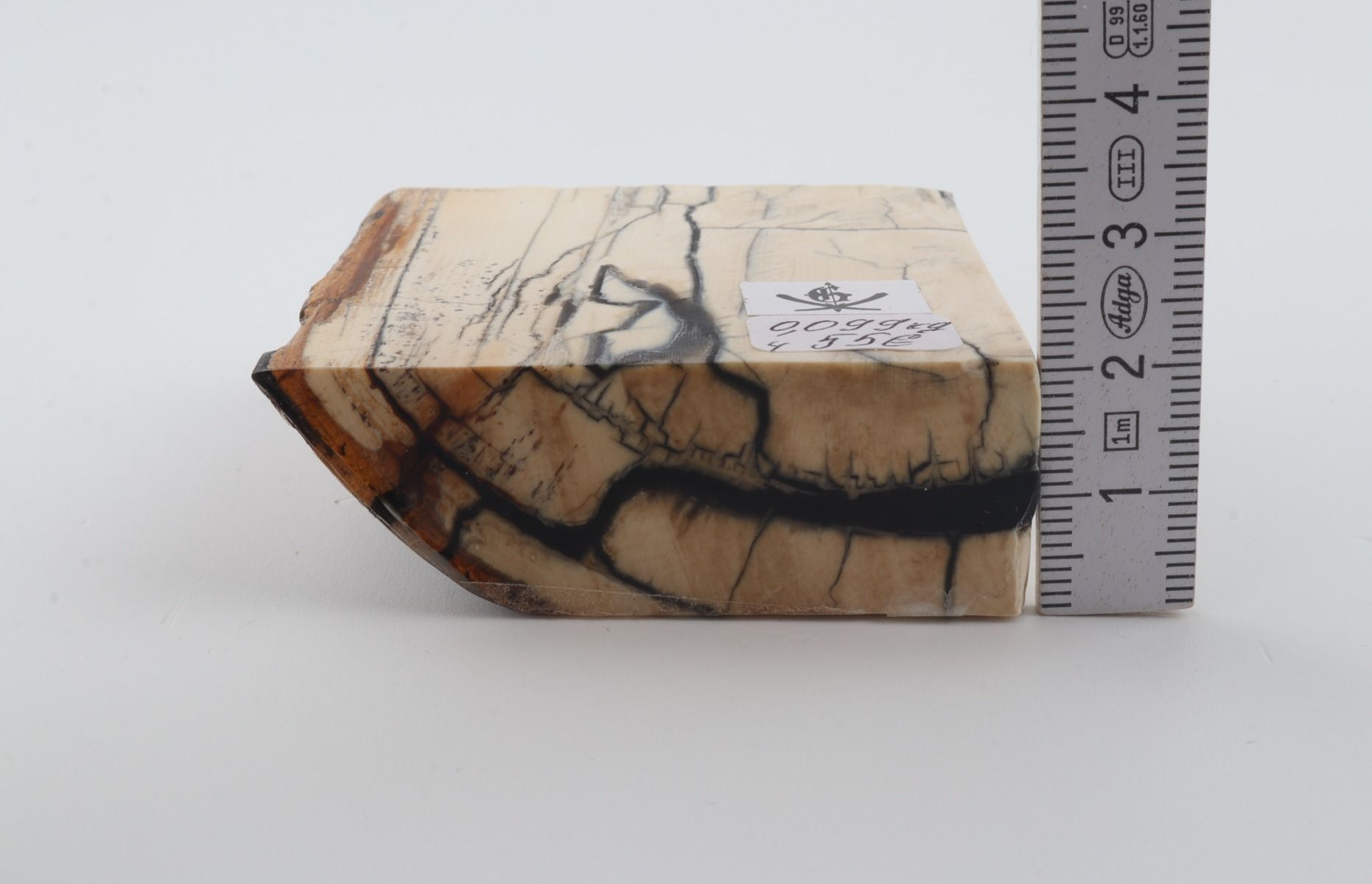 Stabilised mammoth ivory piece