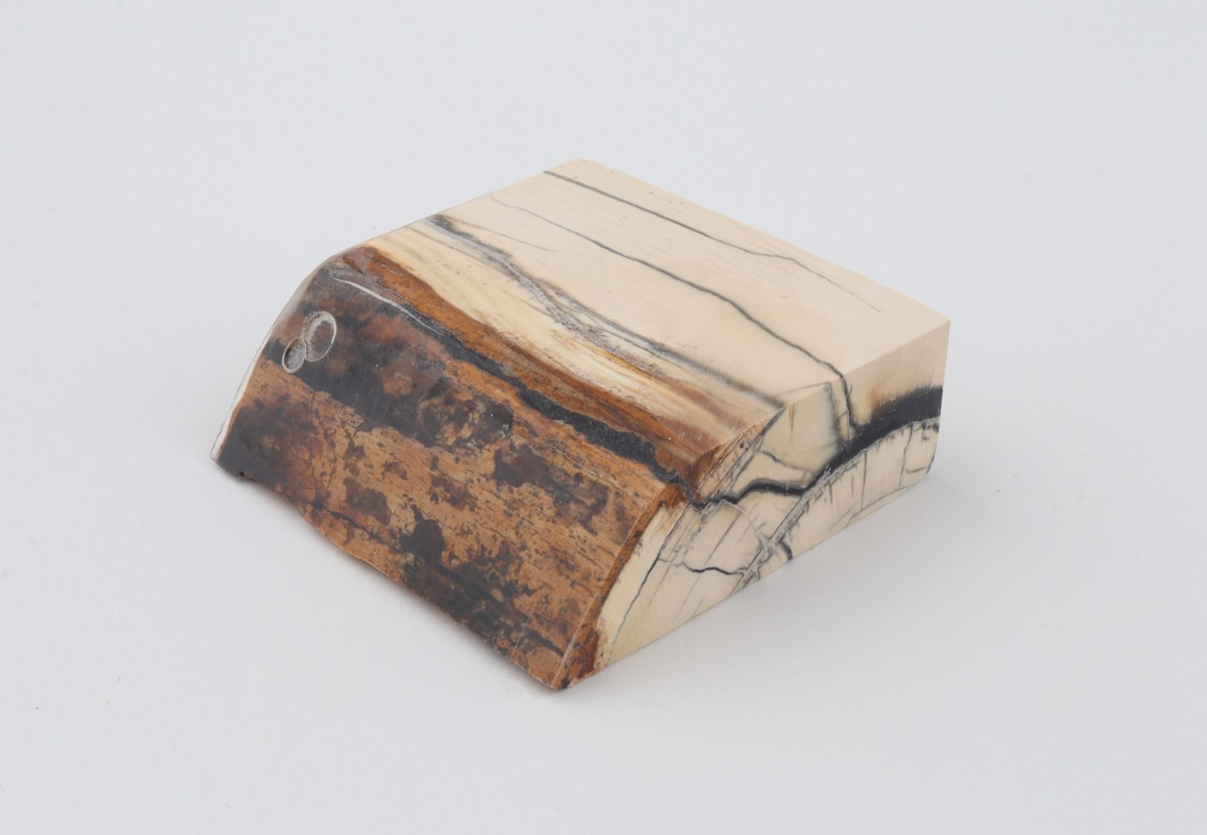 Stabilised mammoth ivory piece