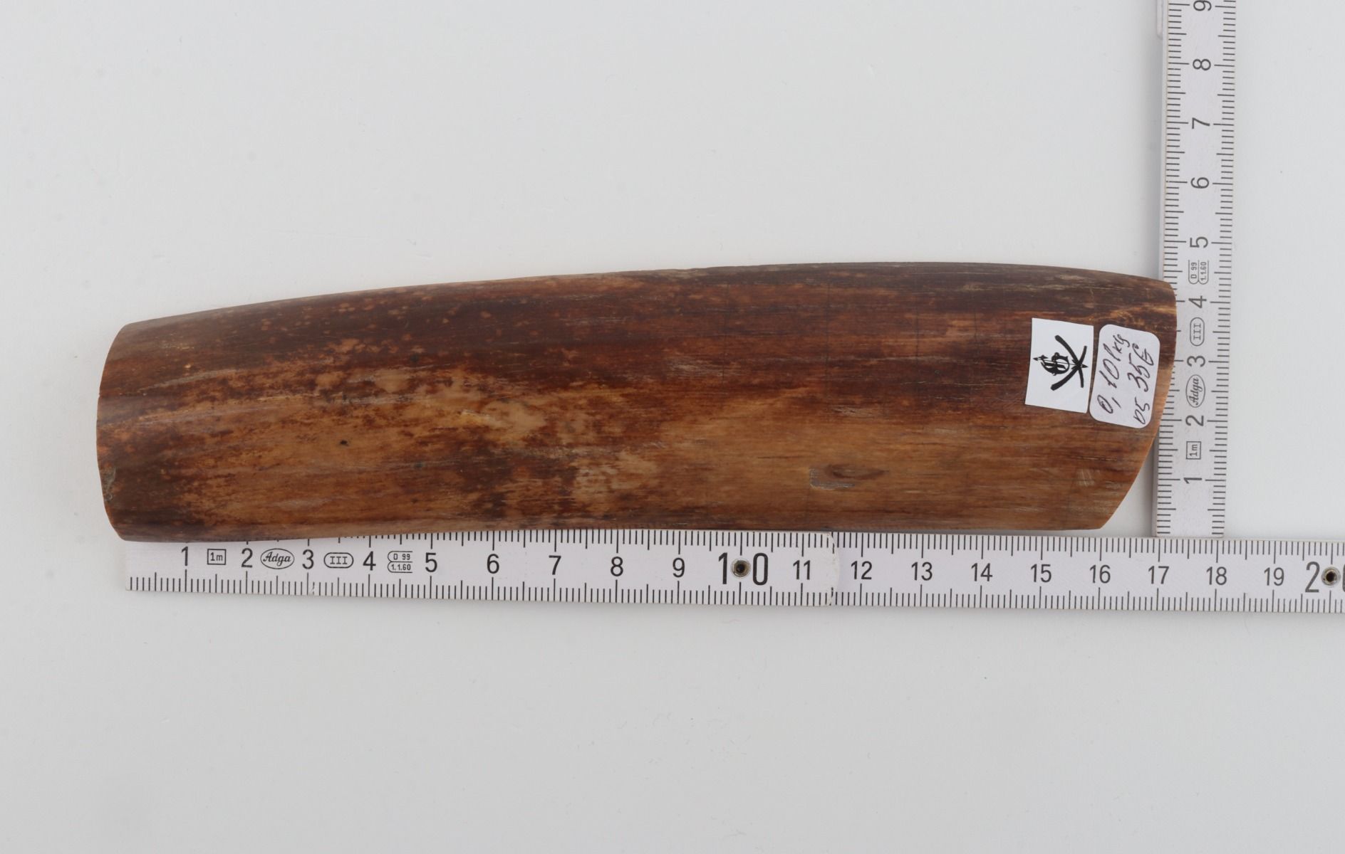 Brown mammoth bark