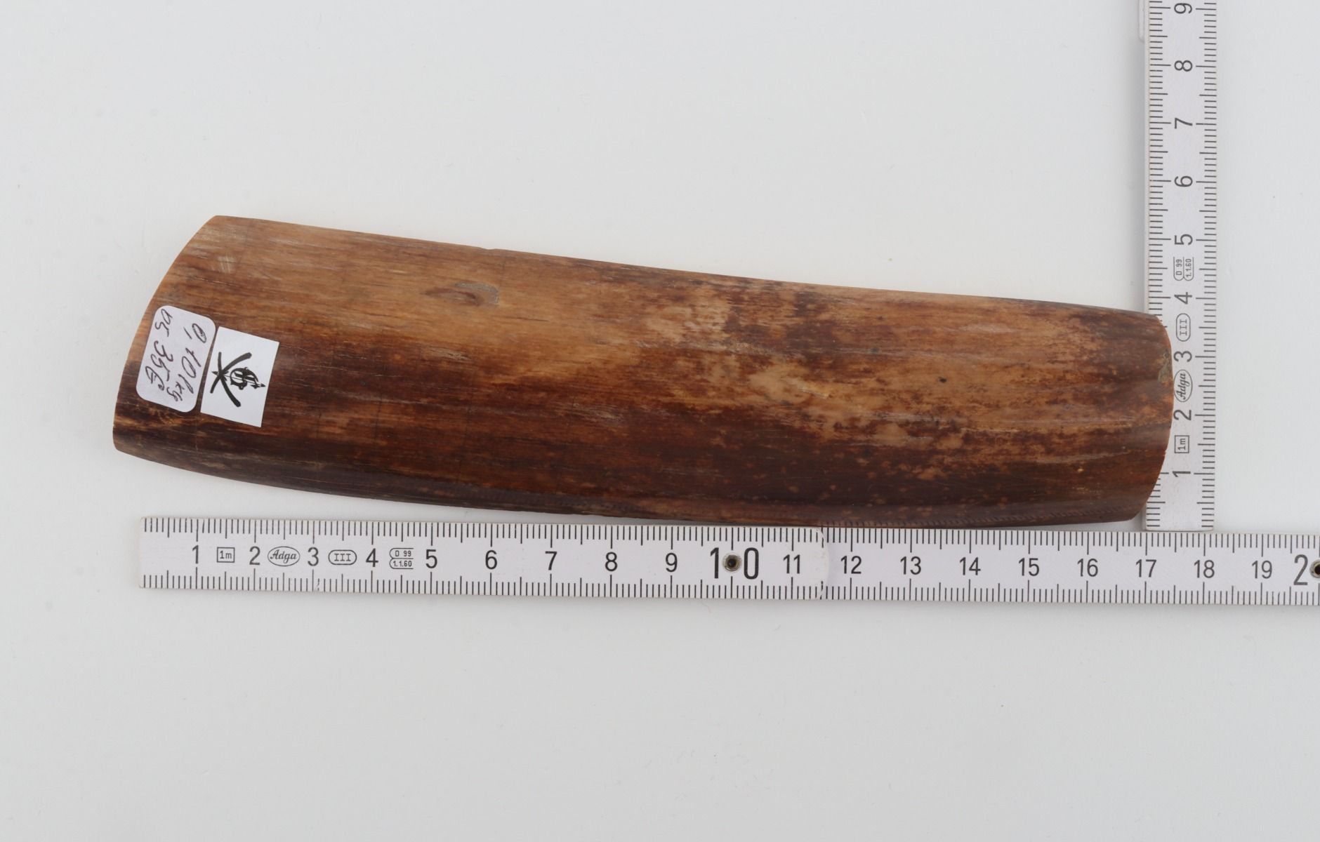 Brown mammoth bark