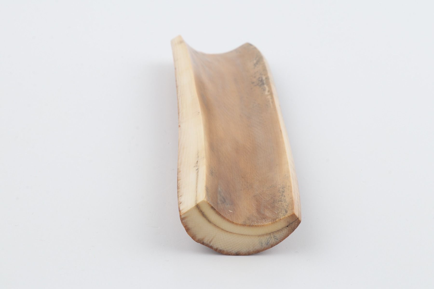 Brown mammoth bark