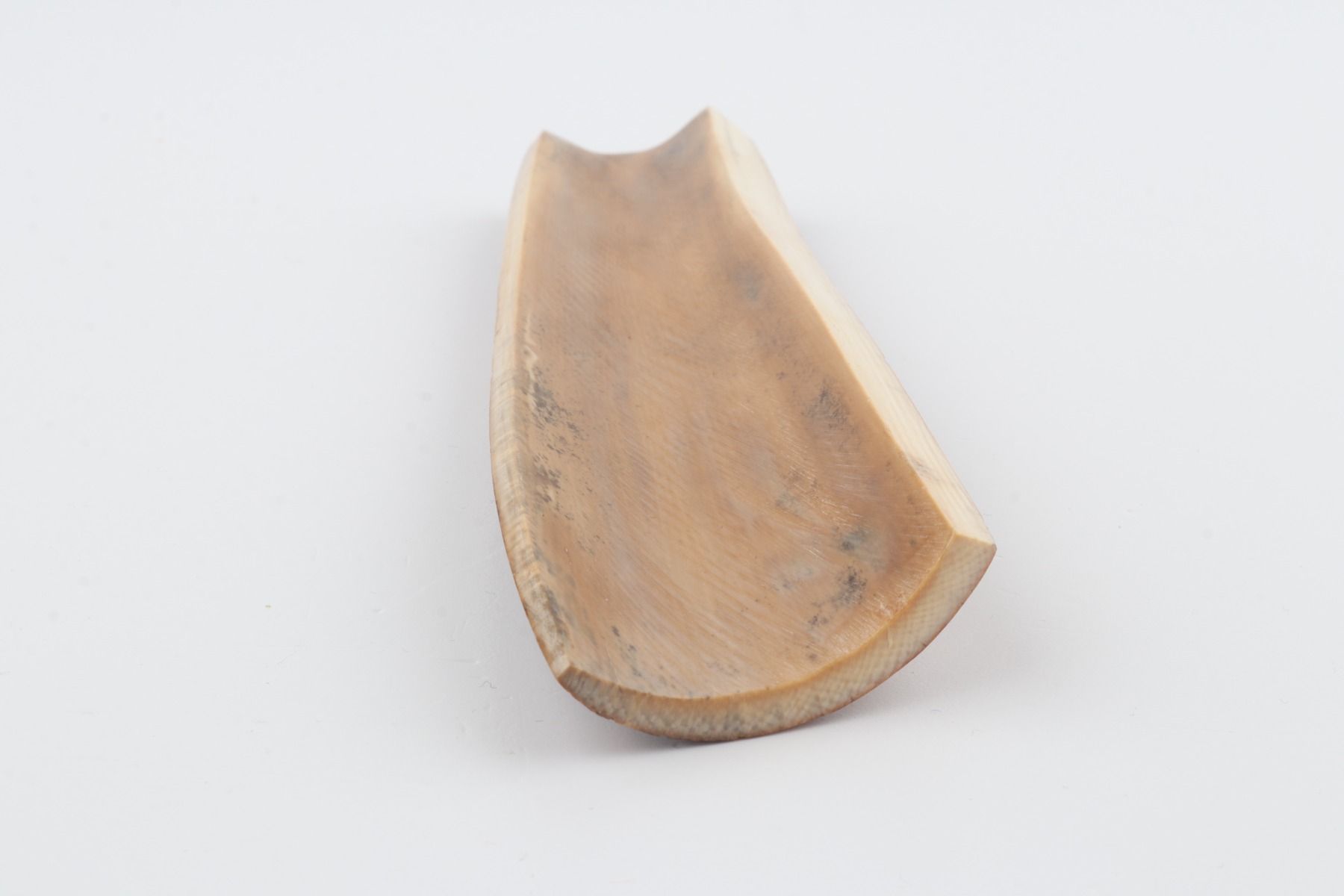 Brown mammoth bark
