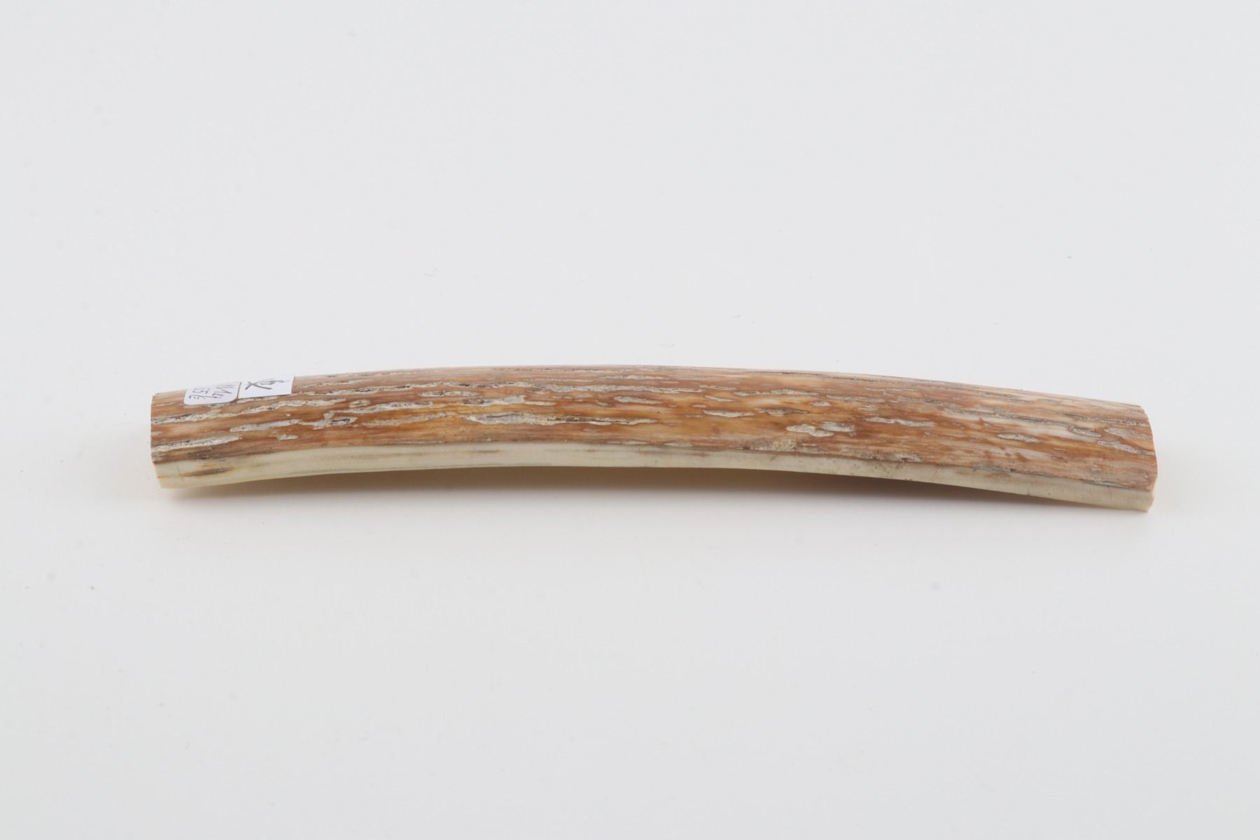 Caramel-grey mammoth bark