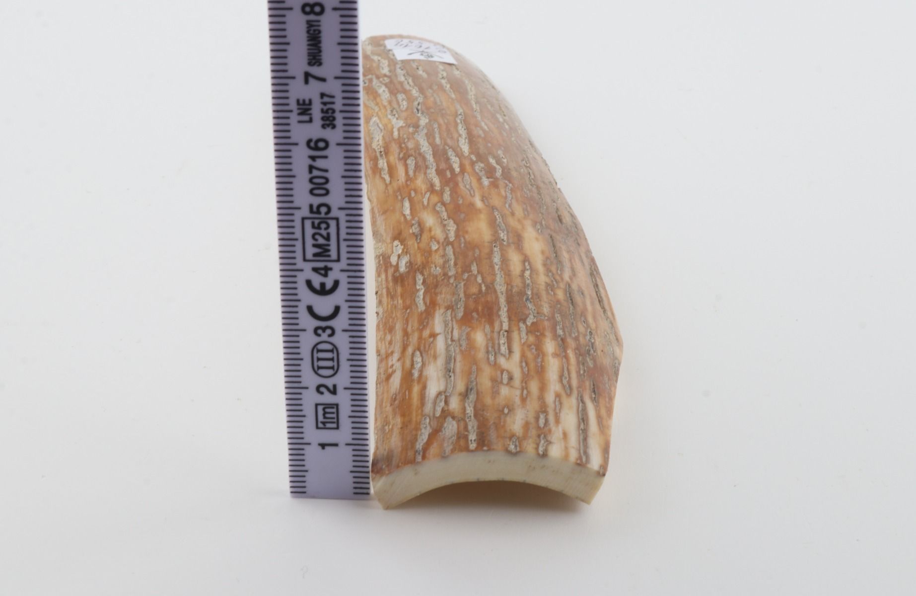 Caramel-grey mammoth bark