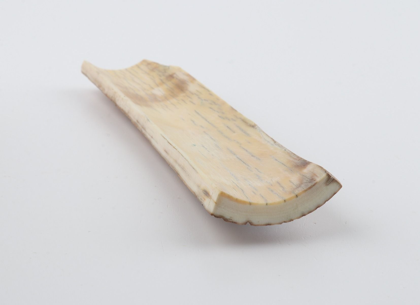 Caramel-grey mammoth bark