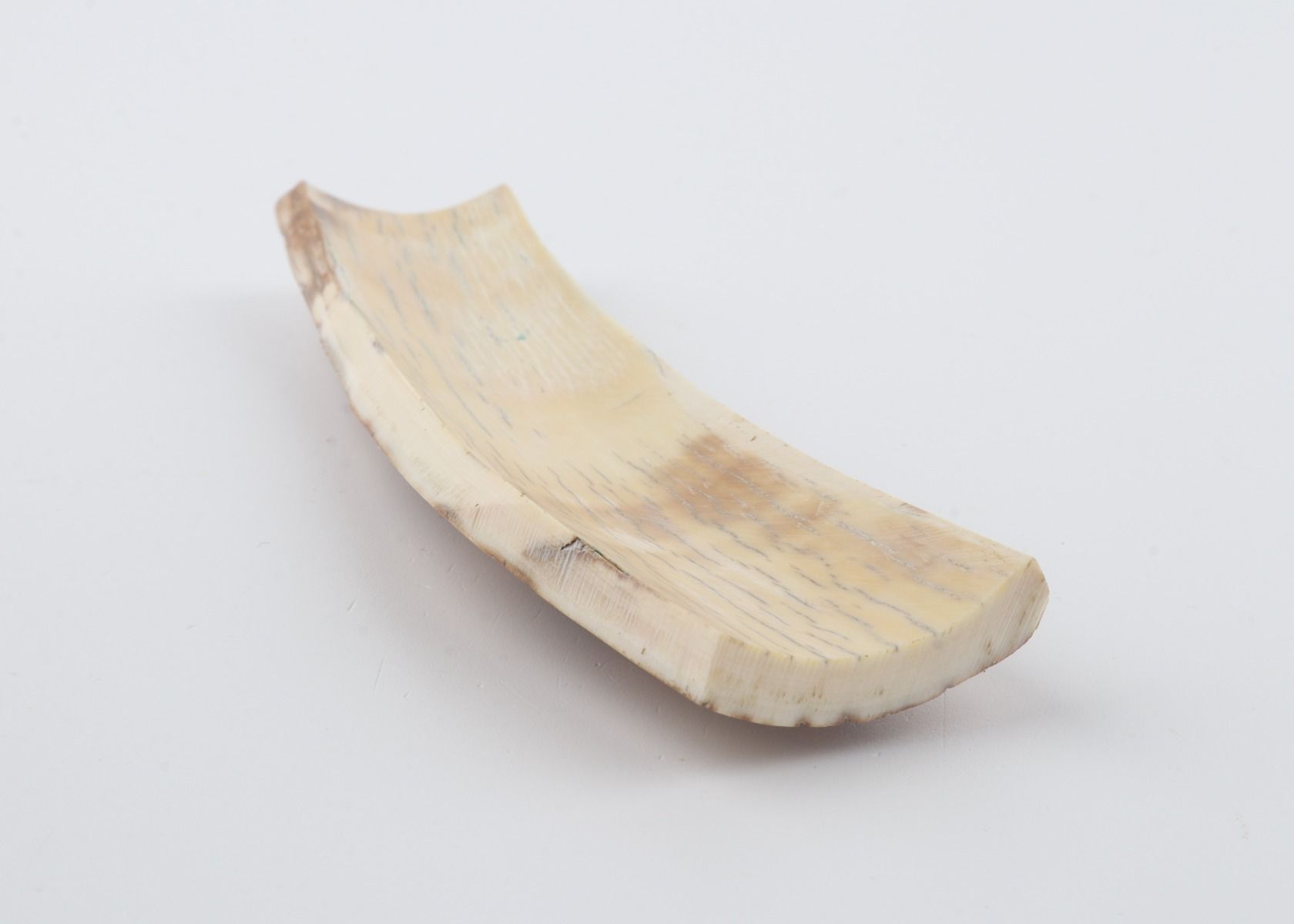 Caramel-grey mammoth bark