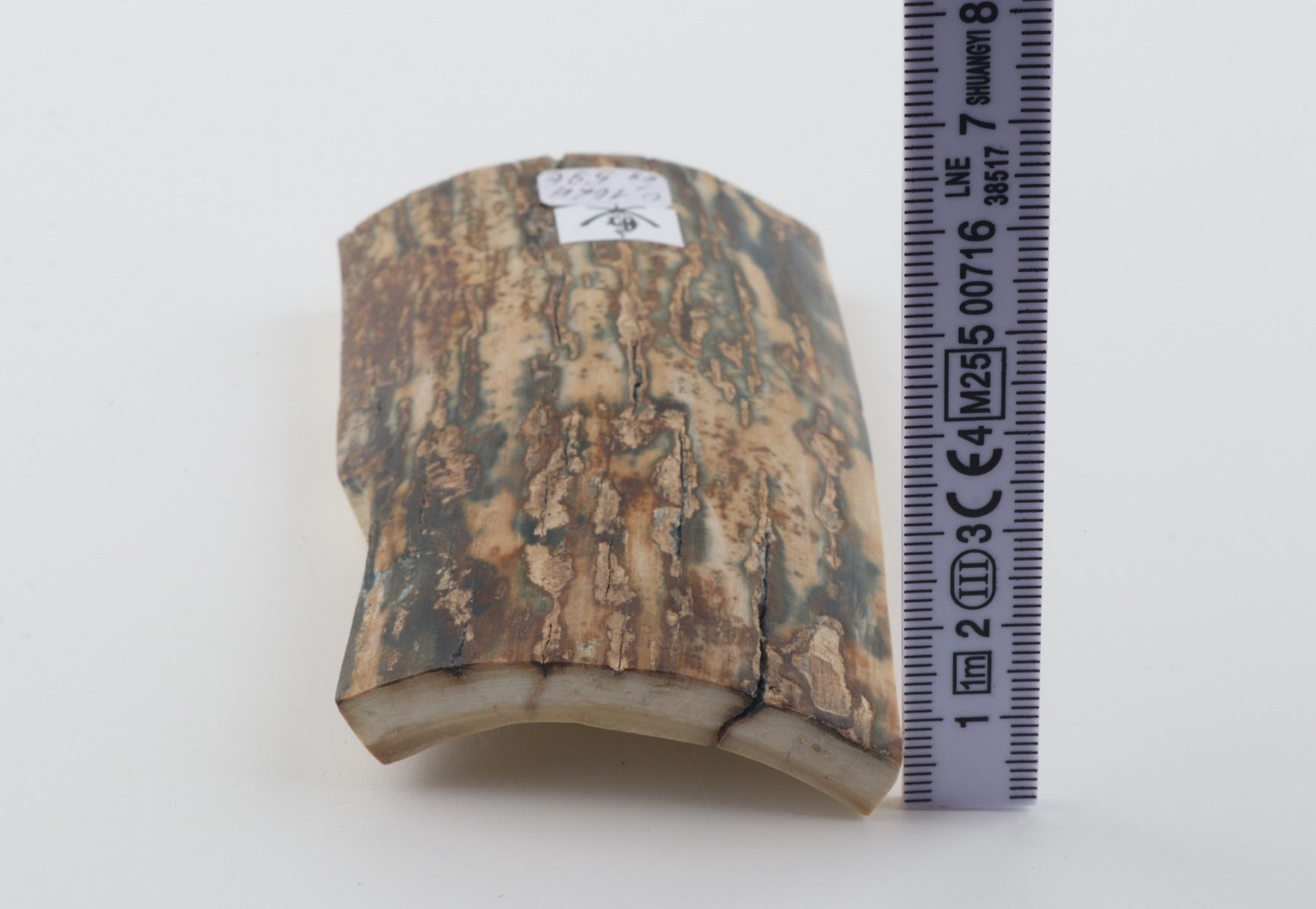 Natural mammoth bark