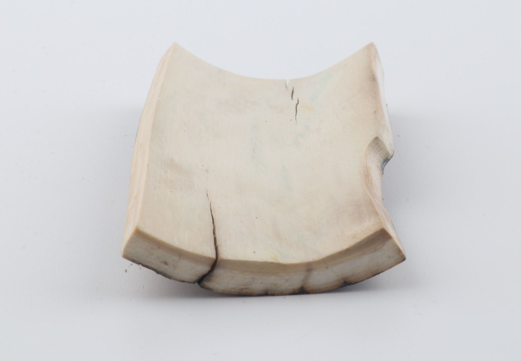 Natural mammoth bark
