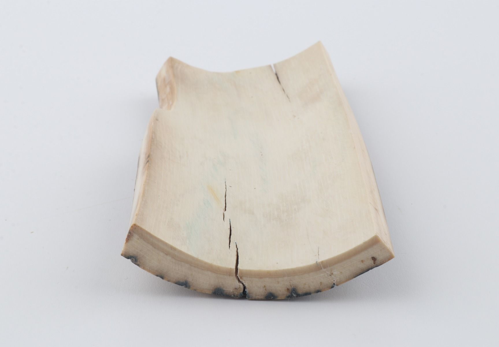 Natural mammoth bark