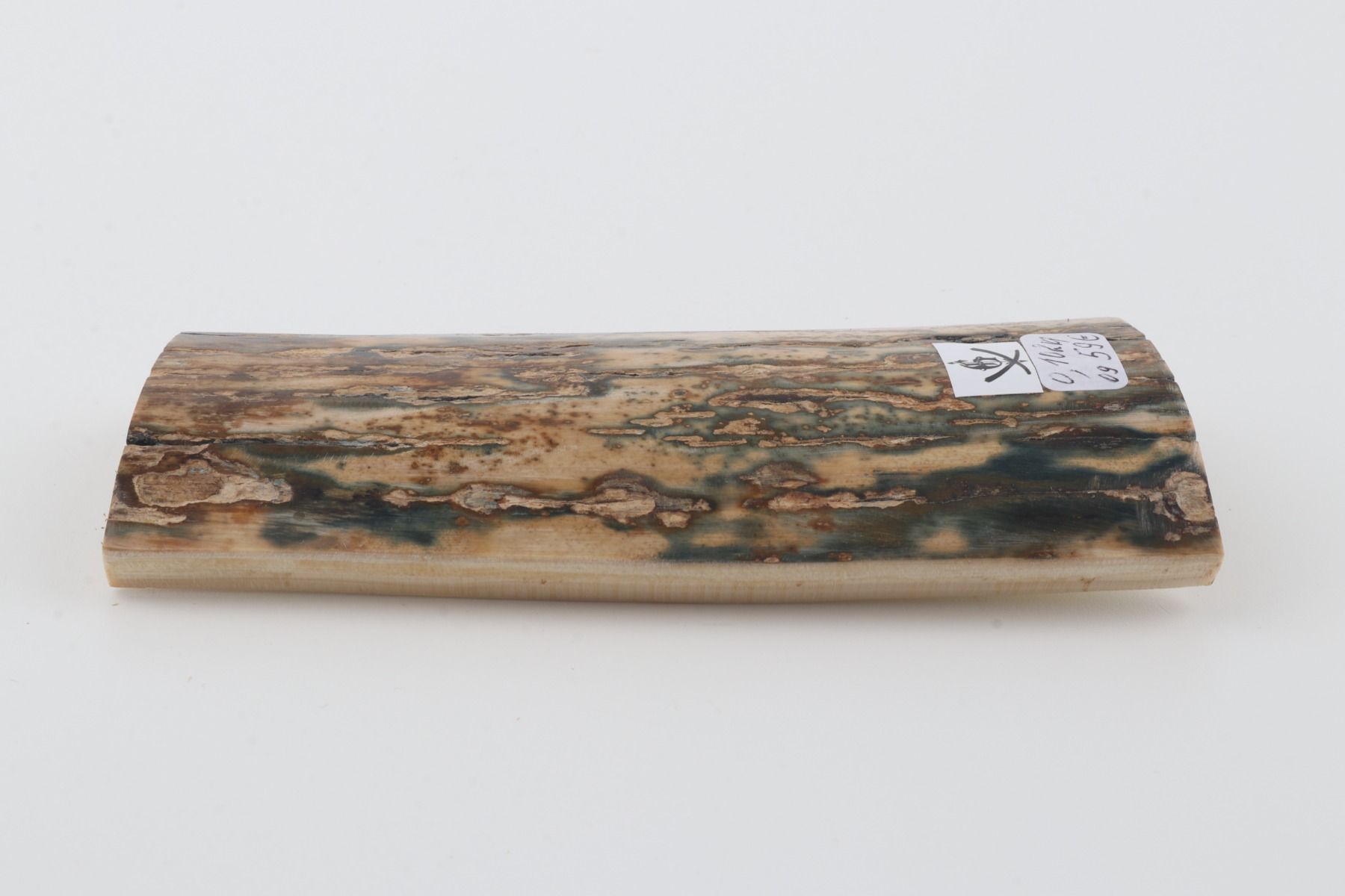 Natural mammoth bark
