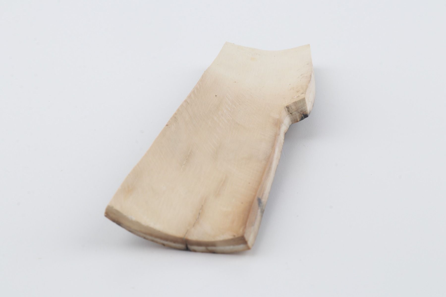 Green-blue mammoth bark