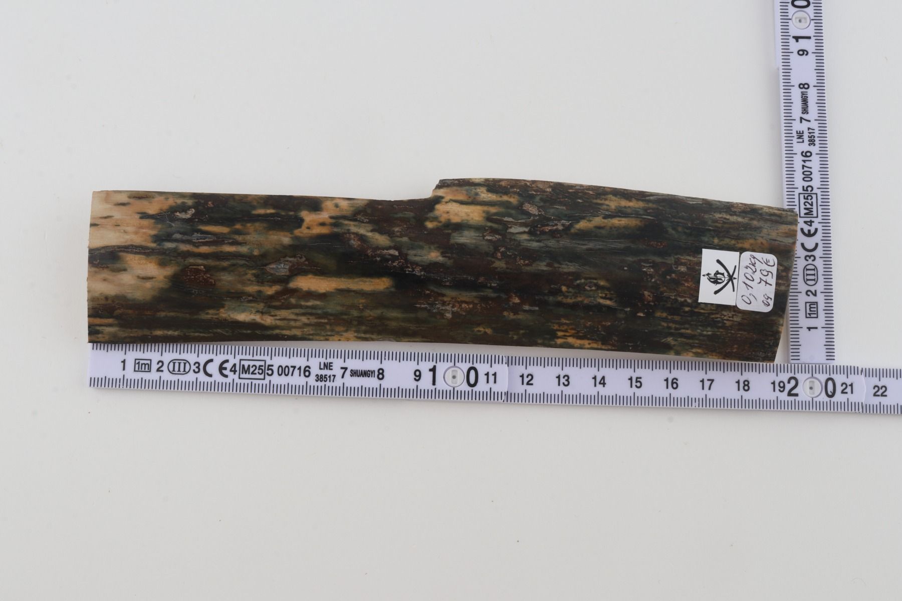 Green-blue mammoth bark