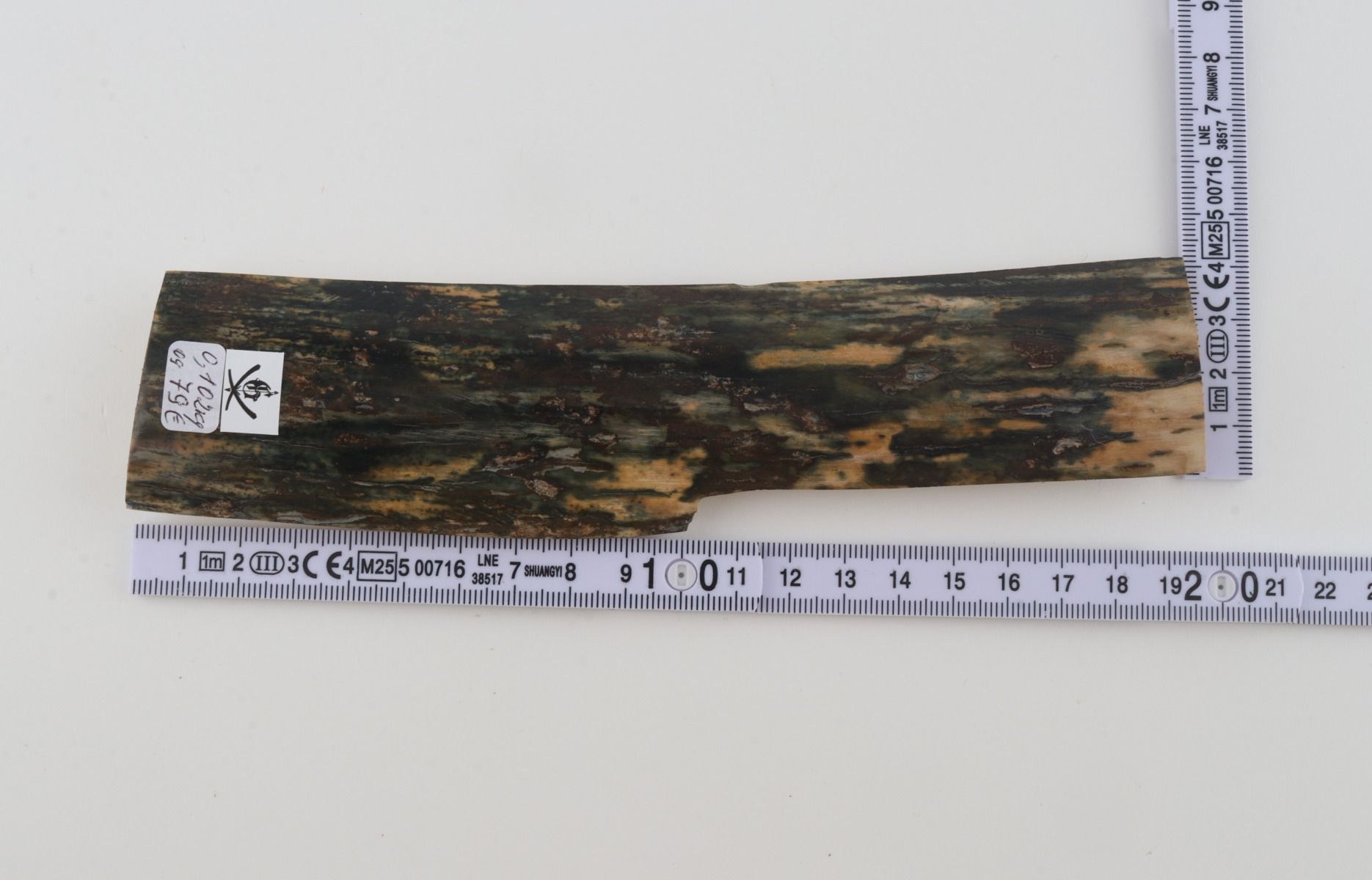 Green-blue mammoth bark