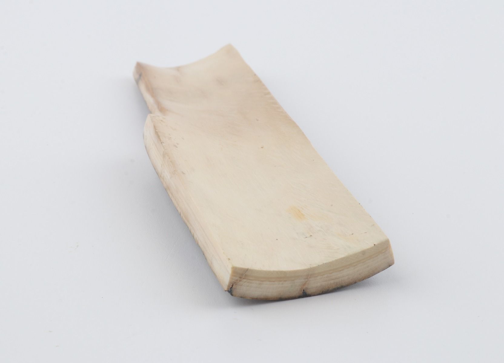 Green-blue mammoth bark