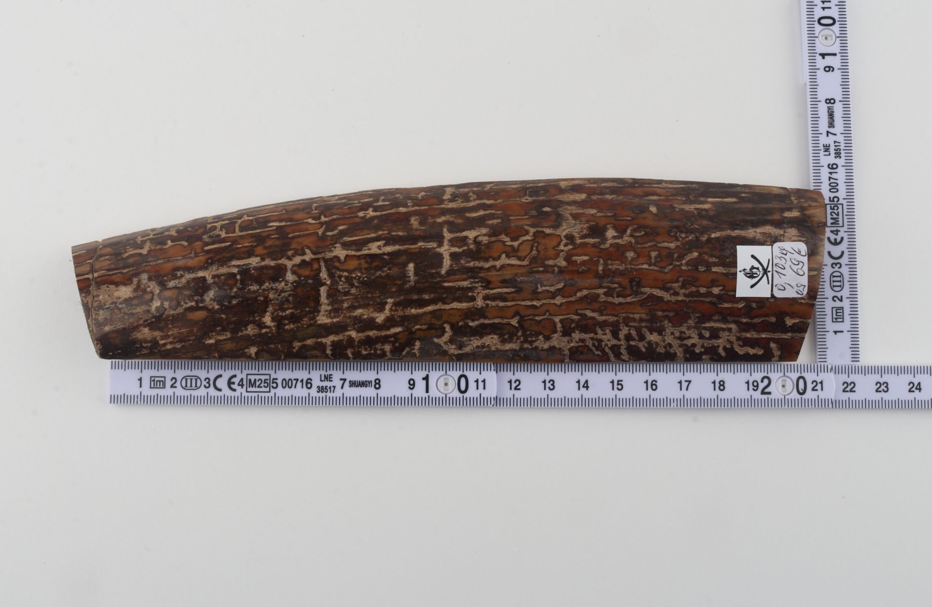 Brown mammoth bark