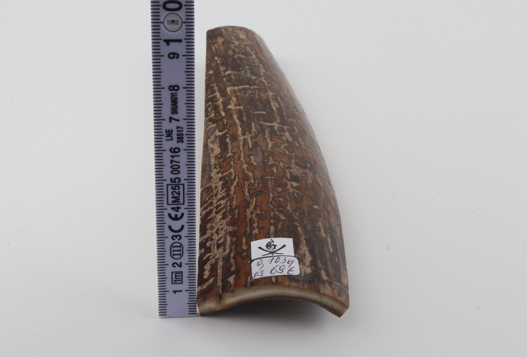 Brown mammoth bark