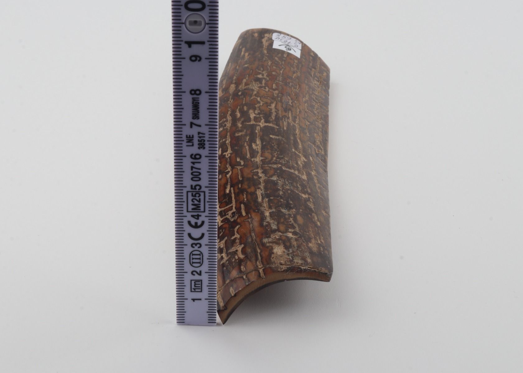 Brown mammoth bark