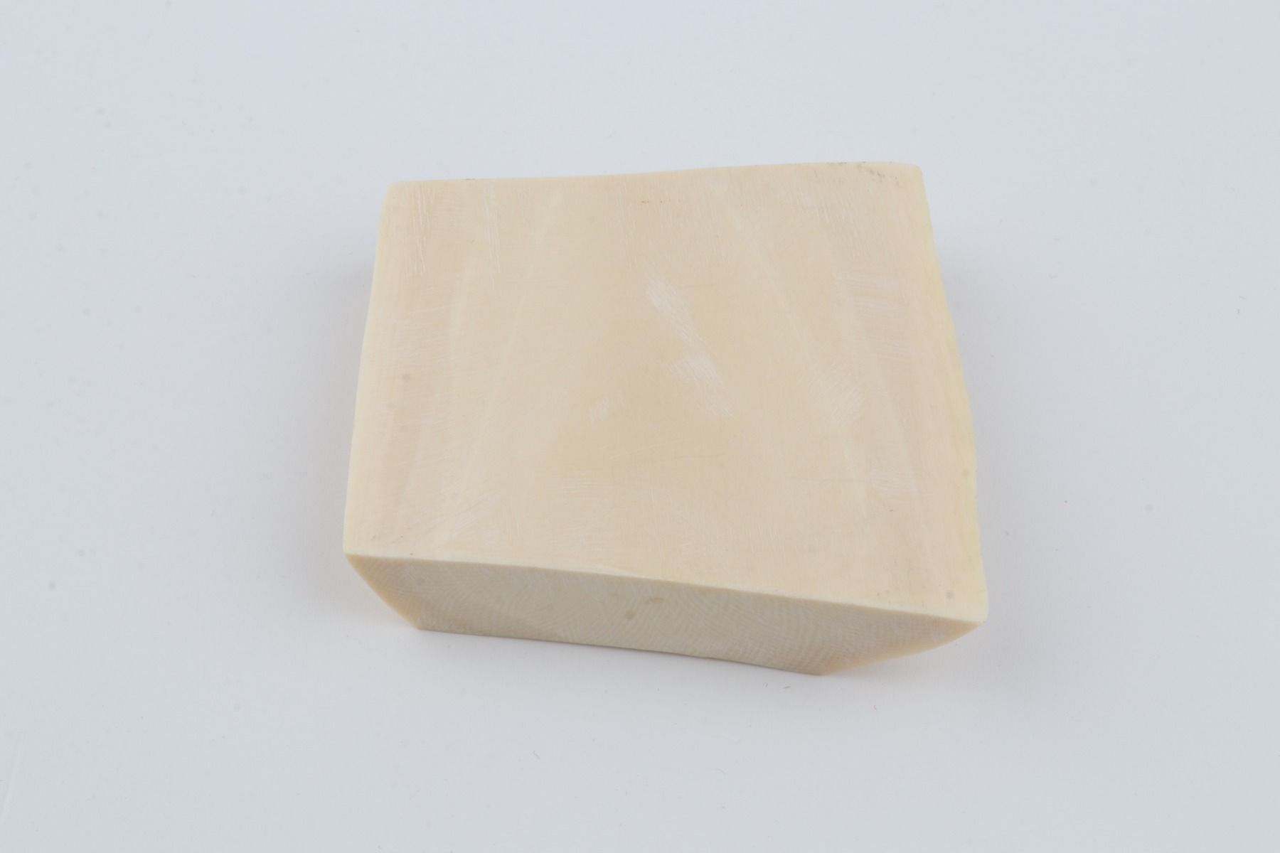 White mammoth ivory segment