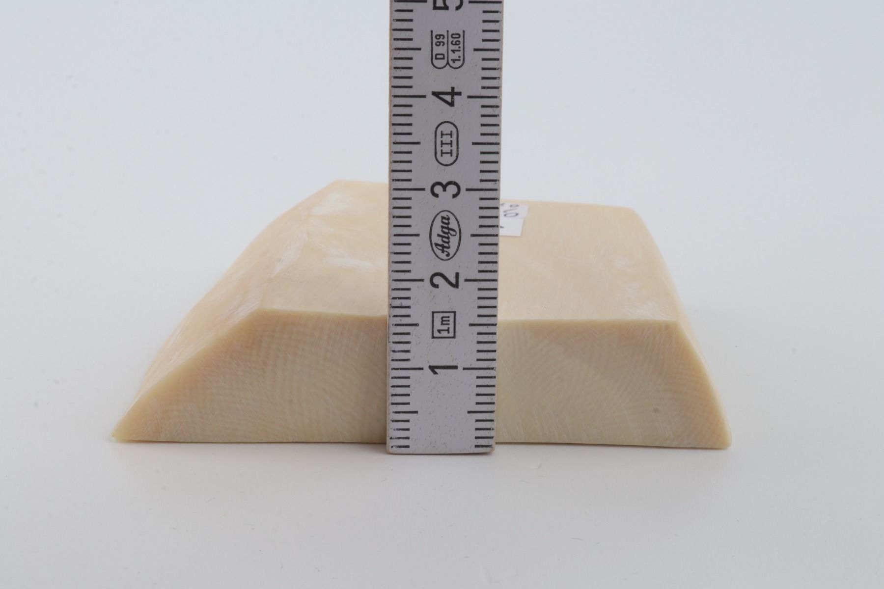 White mammoth ivory segment