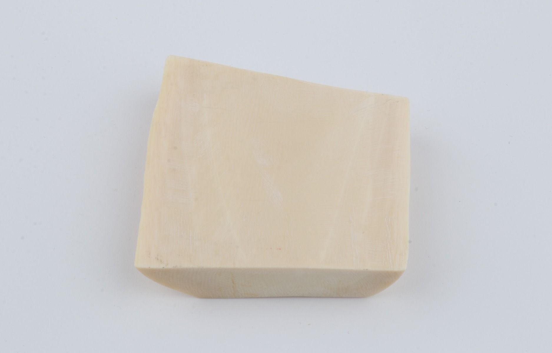 White mammoth ivory segment