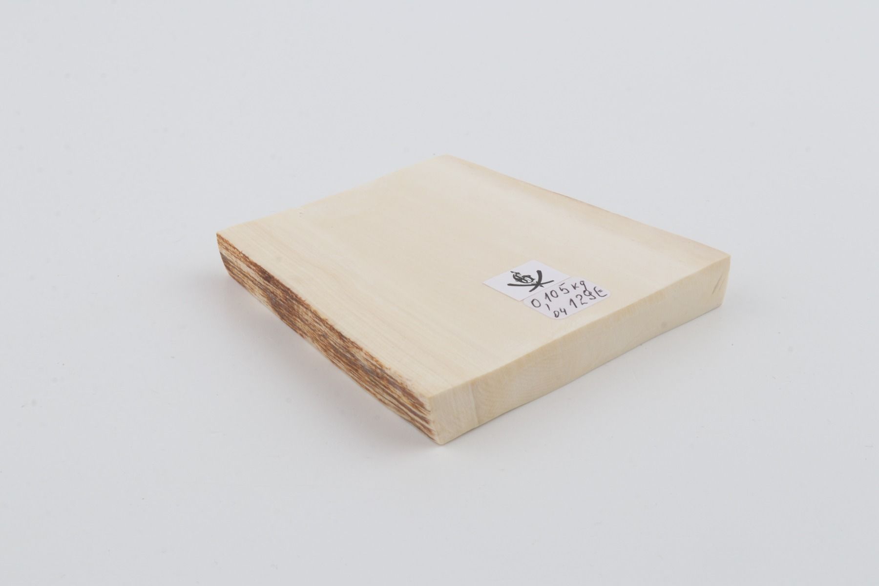 White mammoth ivory segment