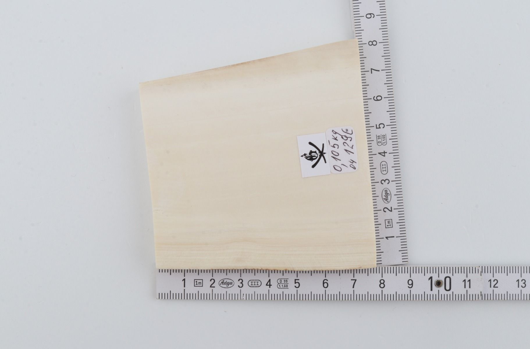 White mammoth ivory segment