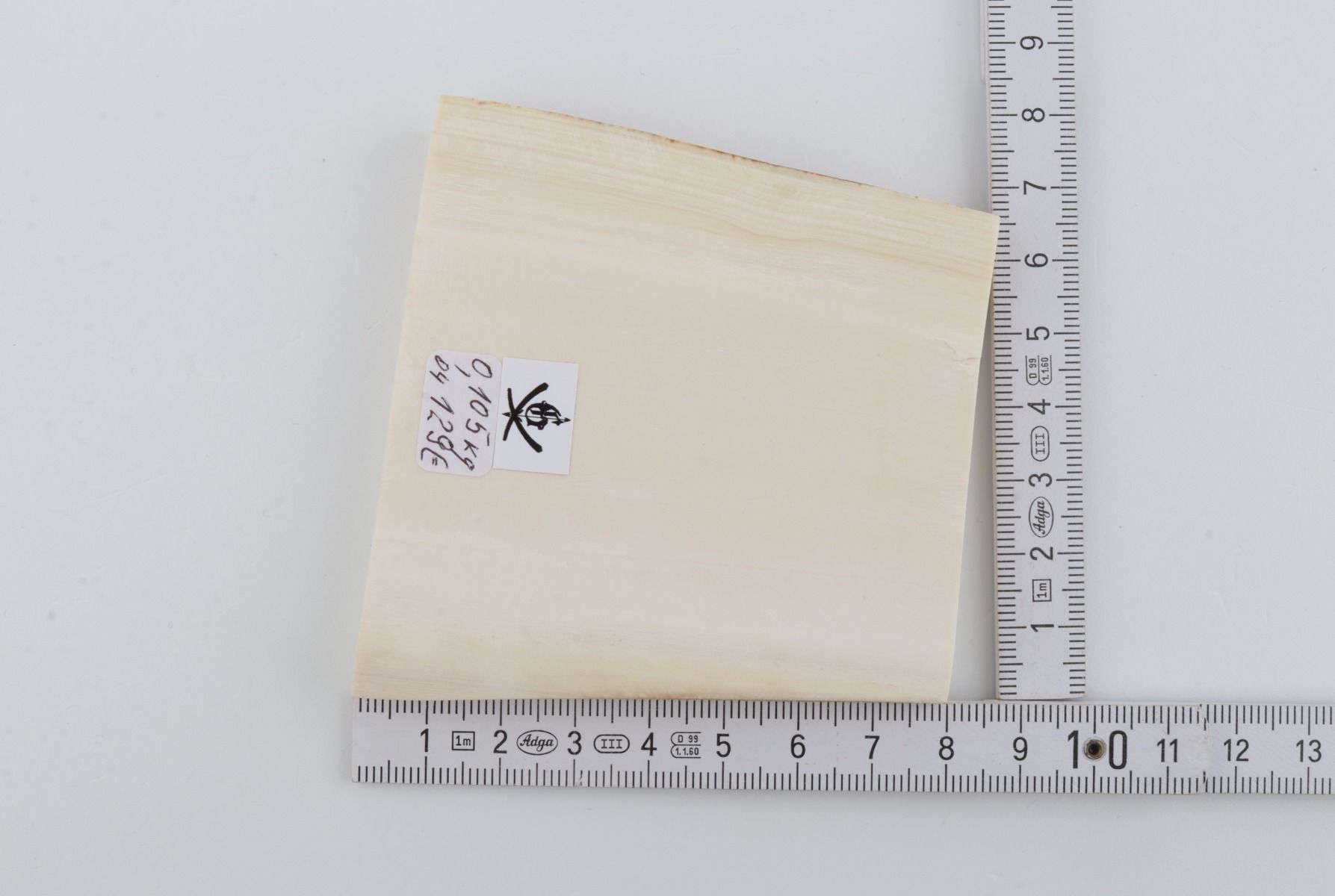 White mammoth ivory segment