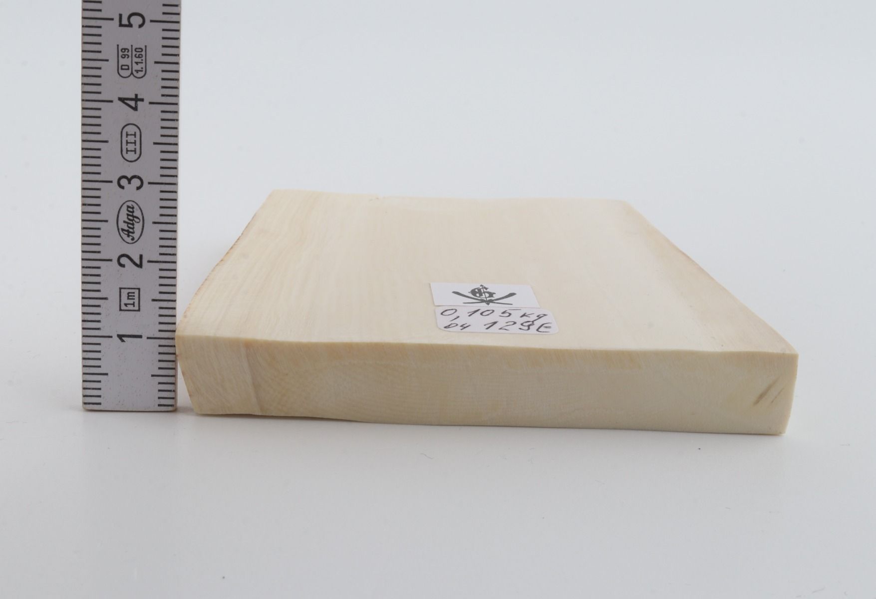 White mammoth ivory segment