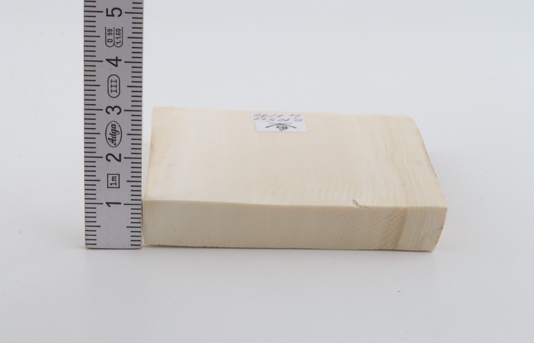 White mammoth ivory segment