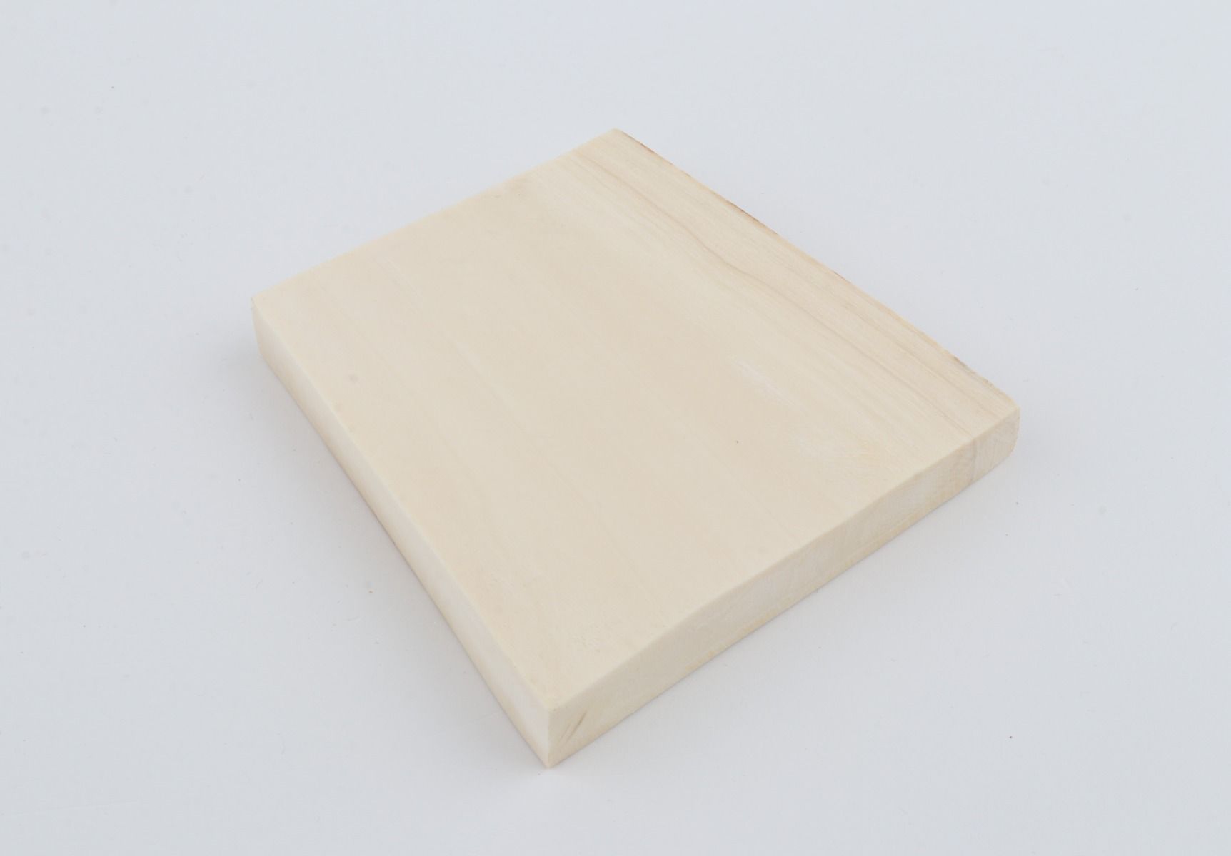 White mammoth ivory segment