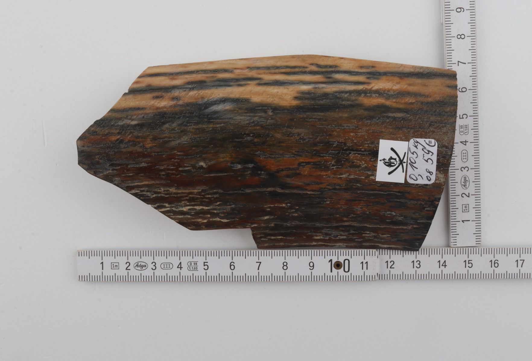 Brown-blue mammoth bark
