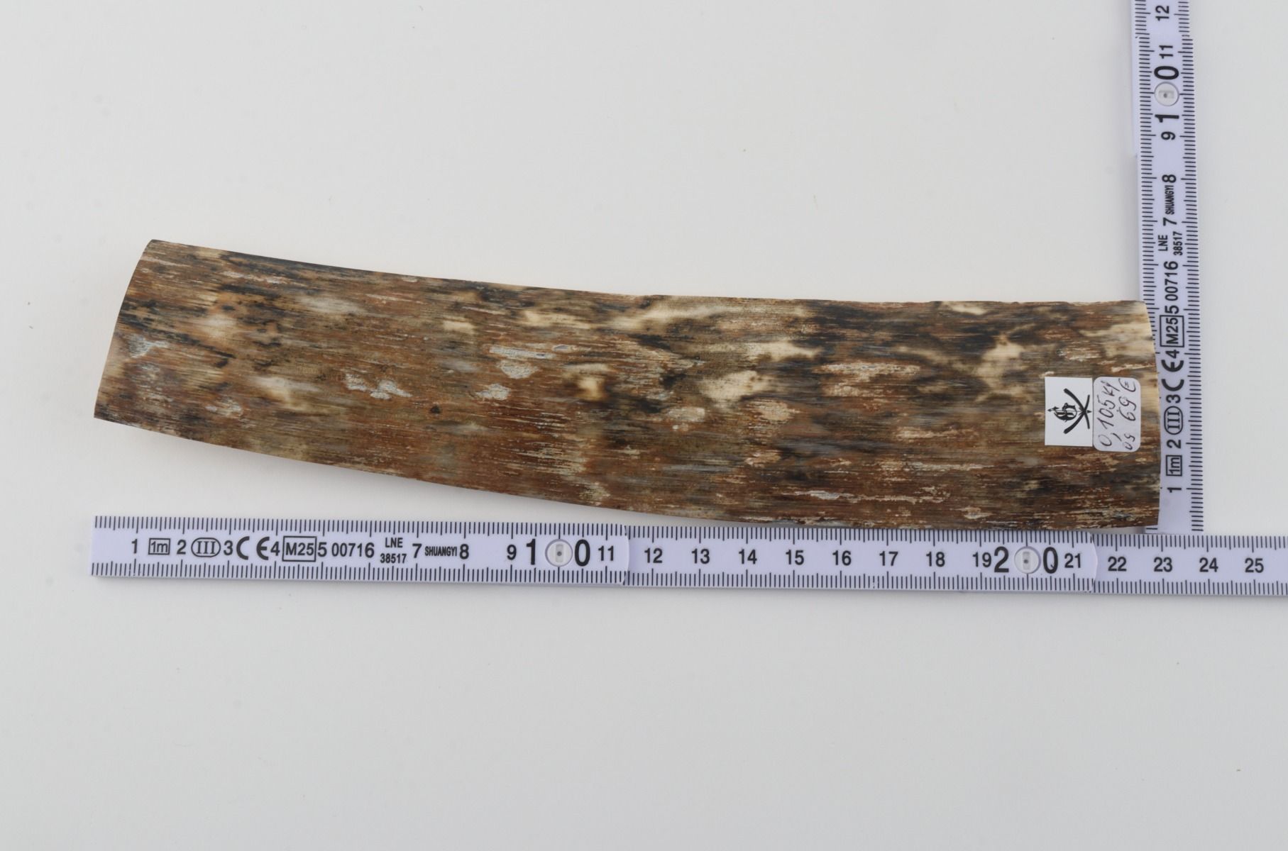 Beige mammoth bark