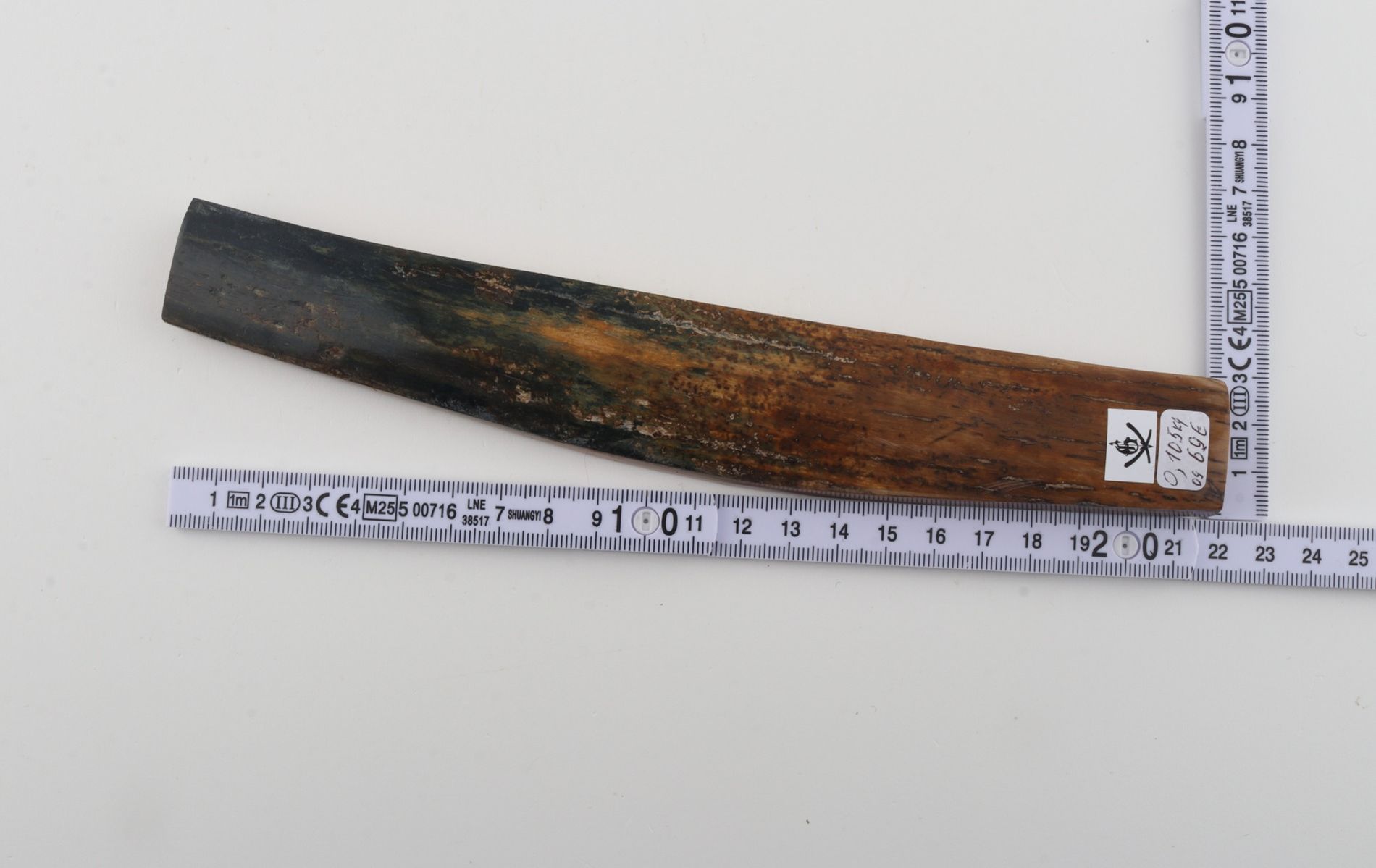 Brown-blue mammoth bark