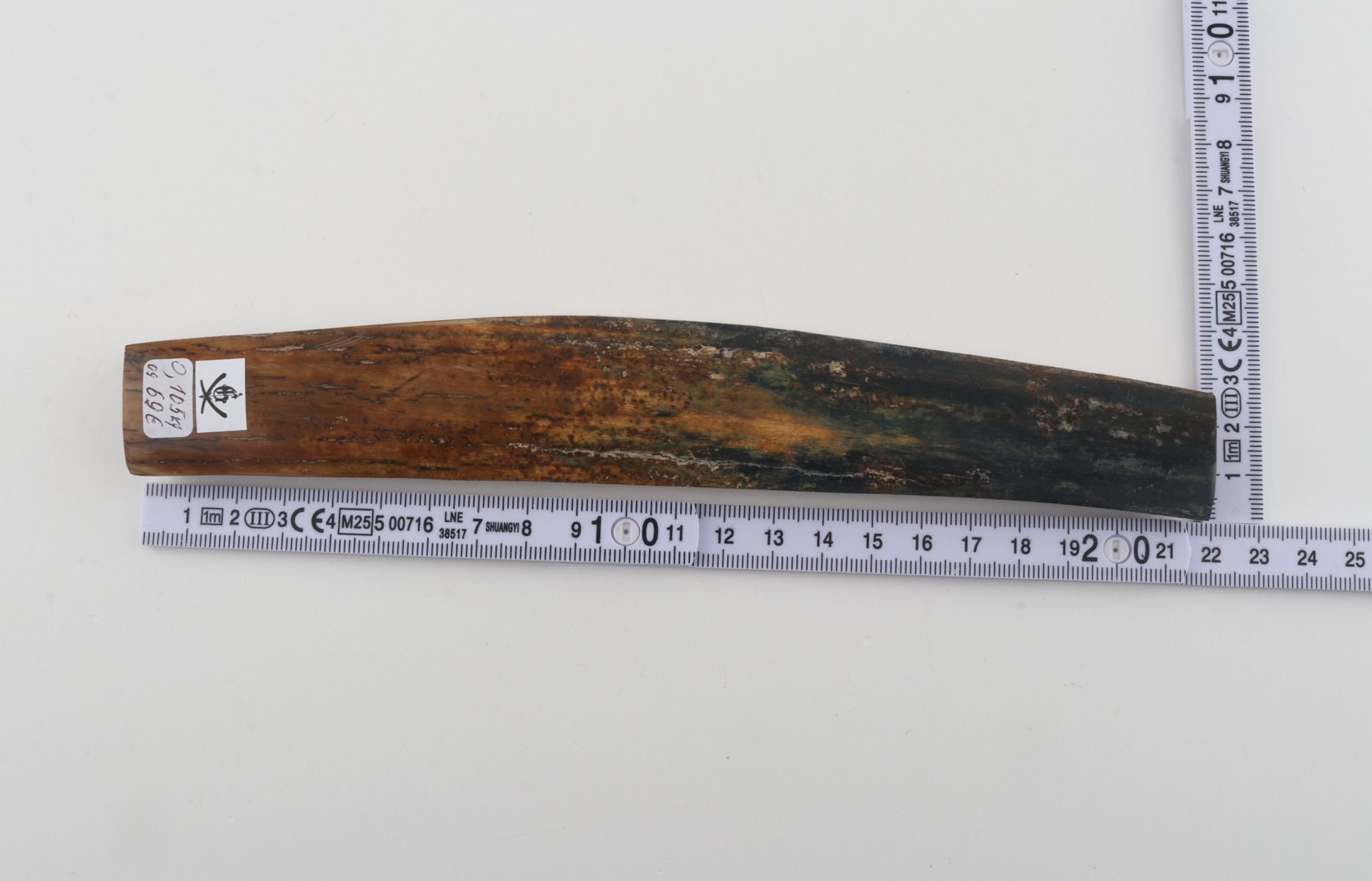 Brown-blue mammoth bark
